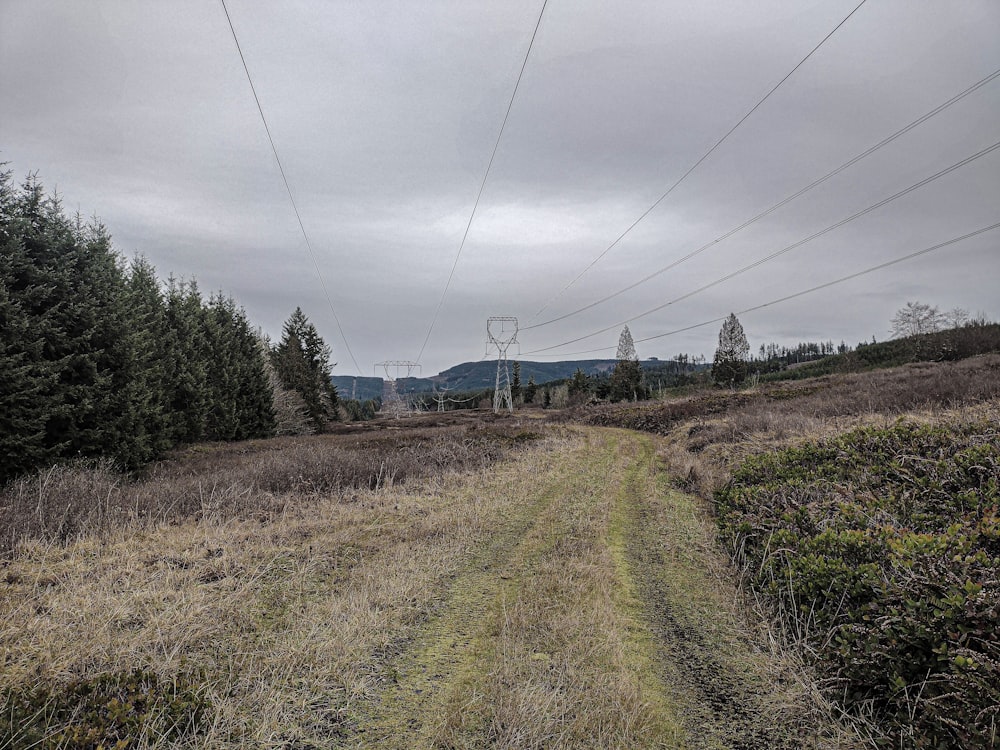 a dirt road in the middle of a field