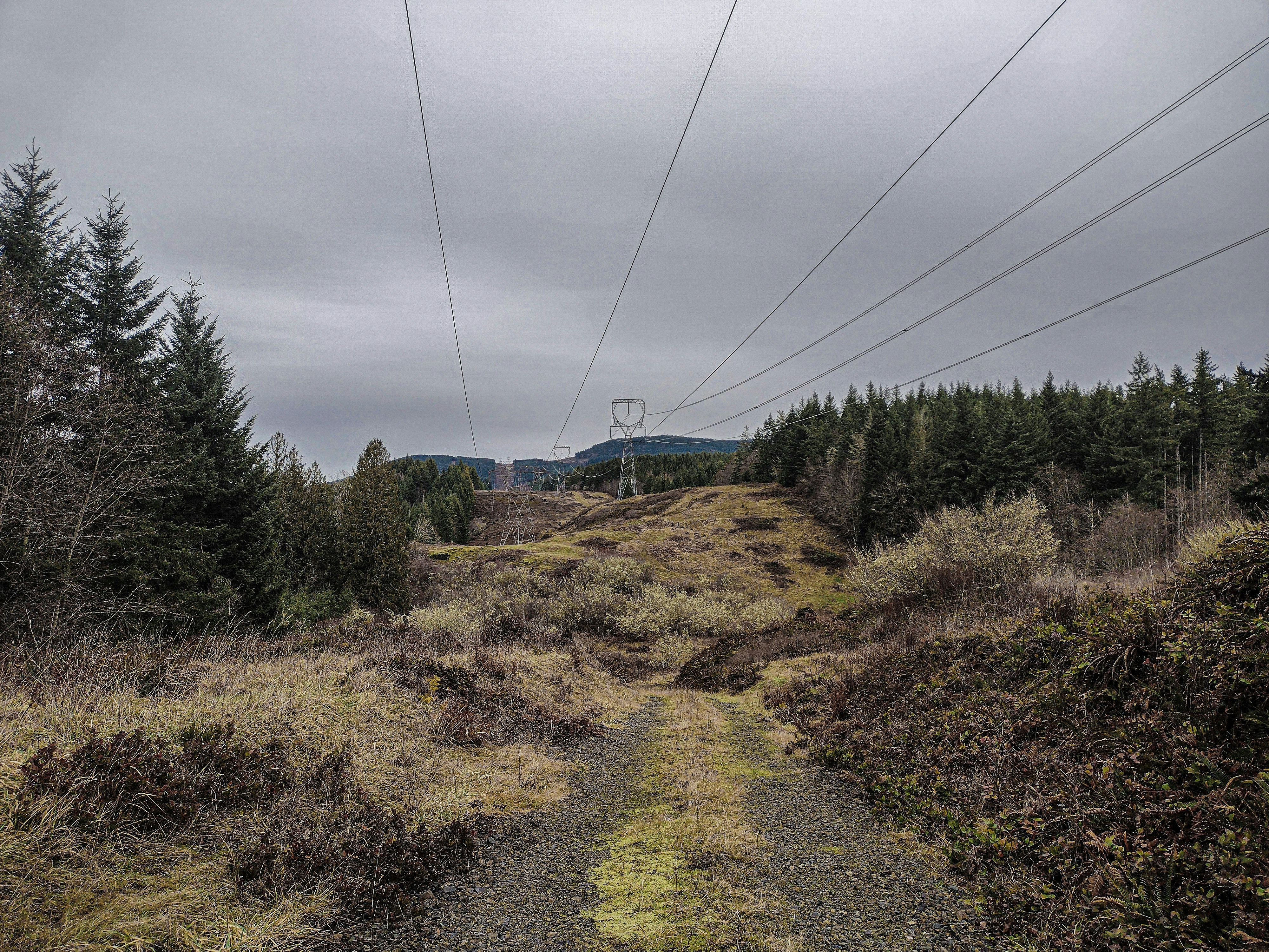 Photo by prphotography262