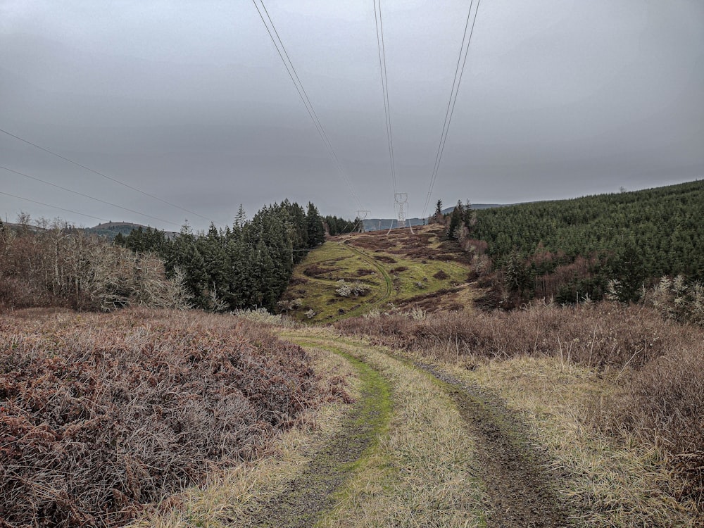 a dirt road in the middle of a field