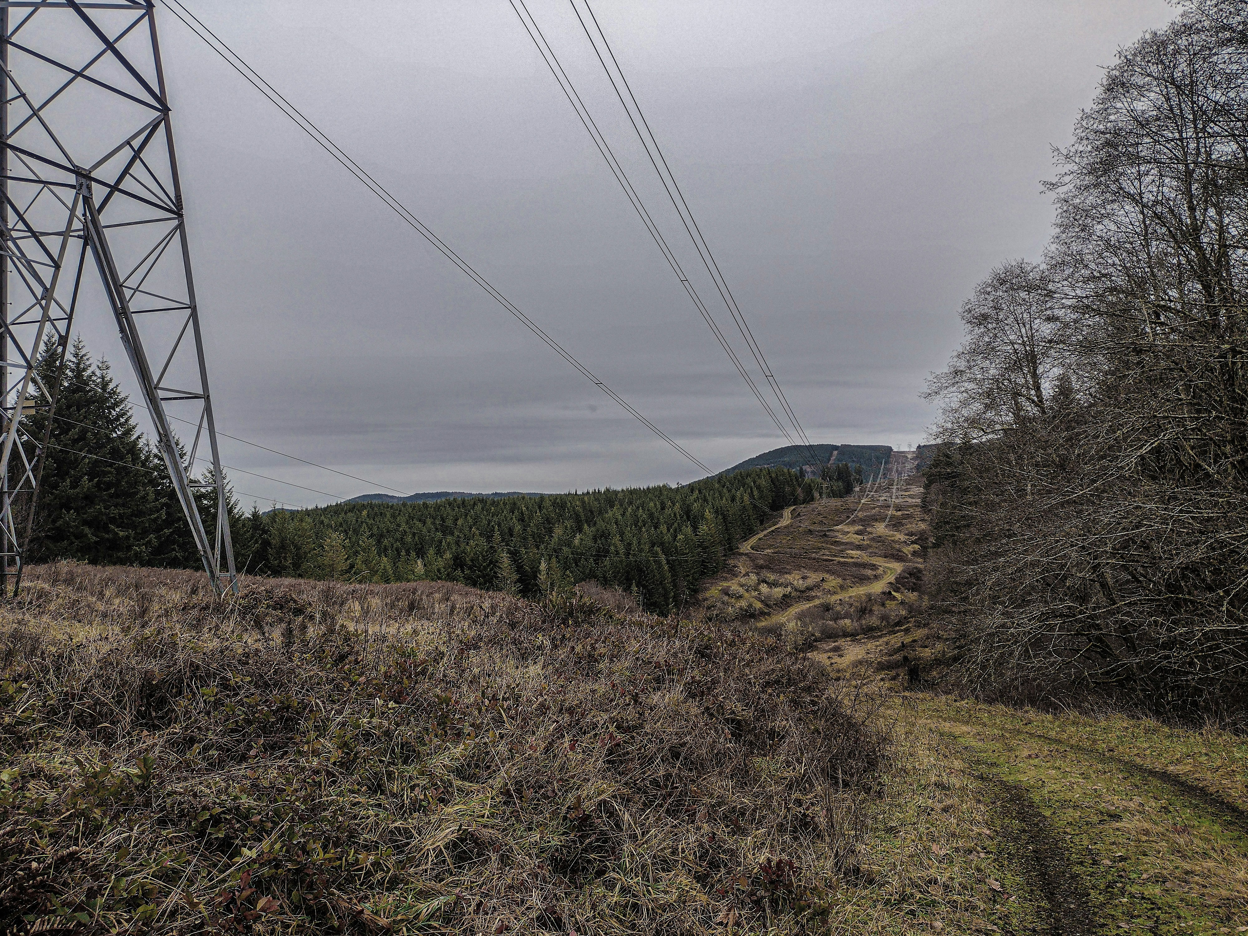 Photo by prphotography262