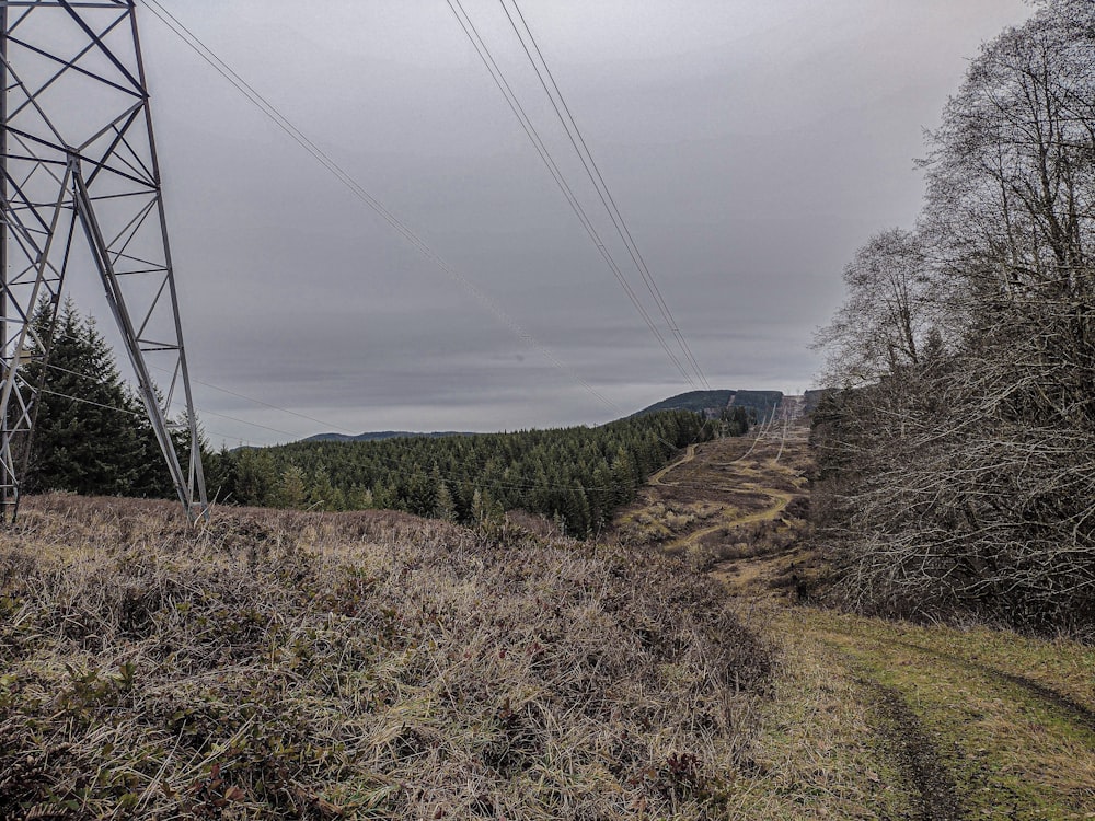 a view of a power line in the middle of a field