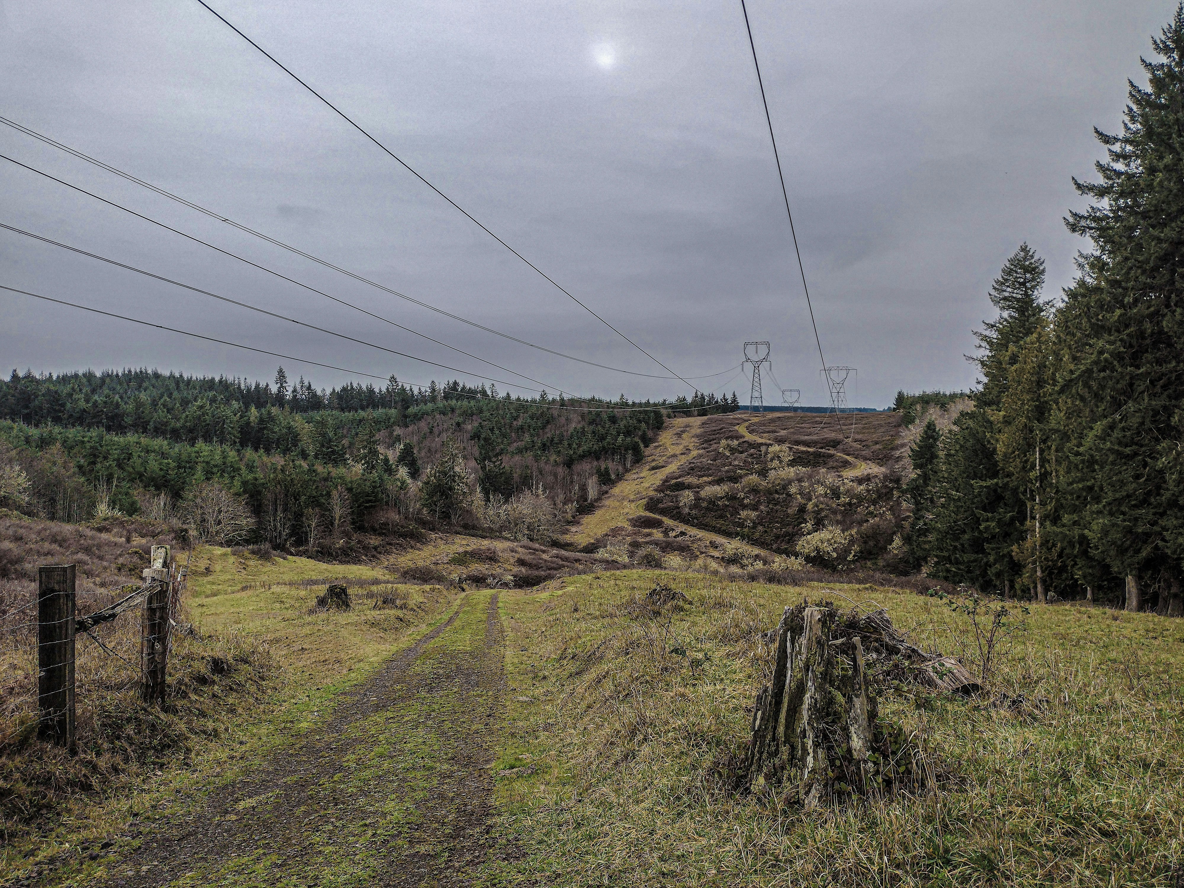 Photo by prphotography262