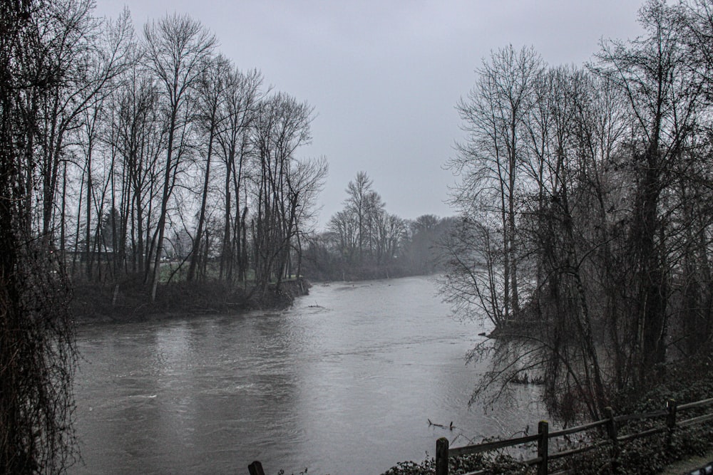 a body of water surrounded by trees on a cloudy day