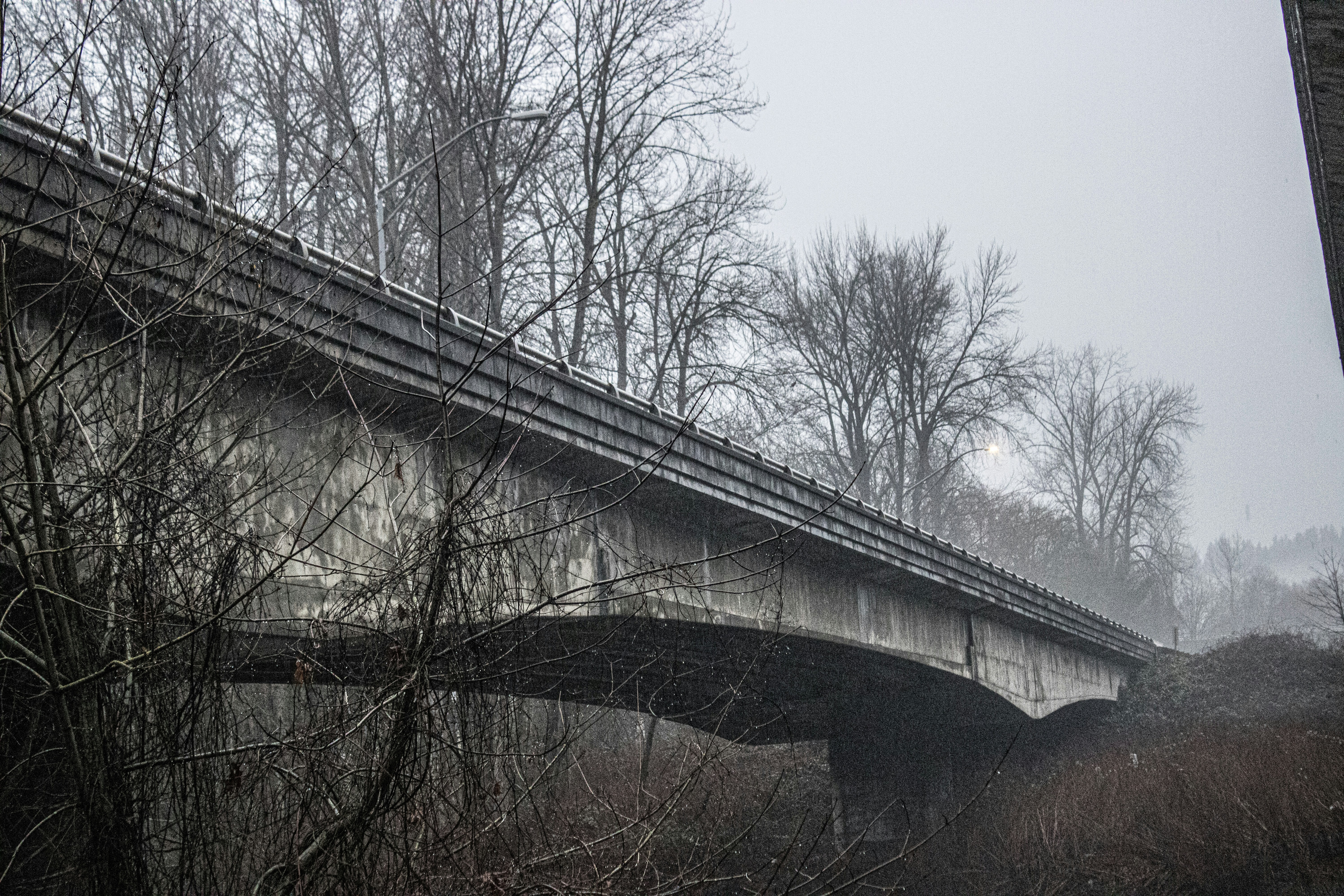 Photo by prphotography262