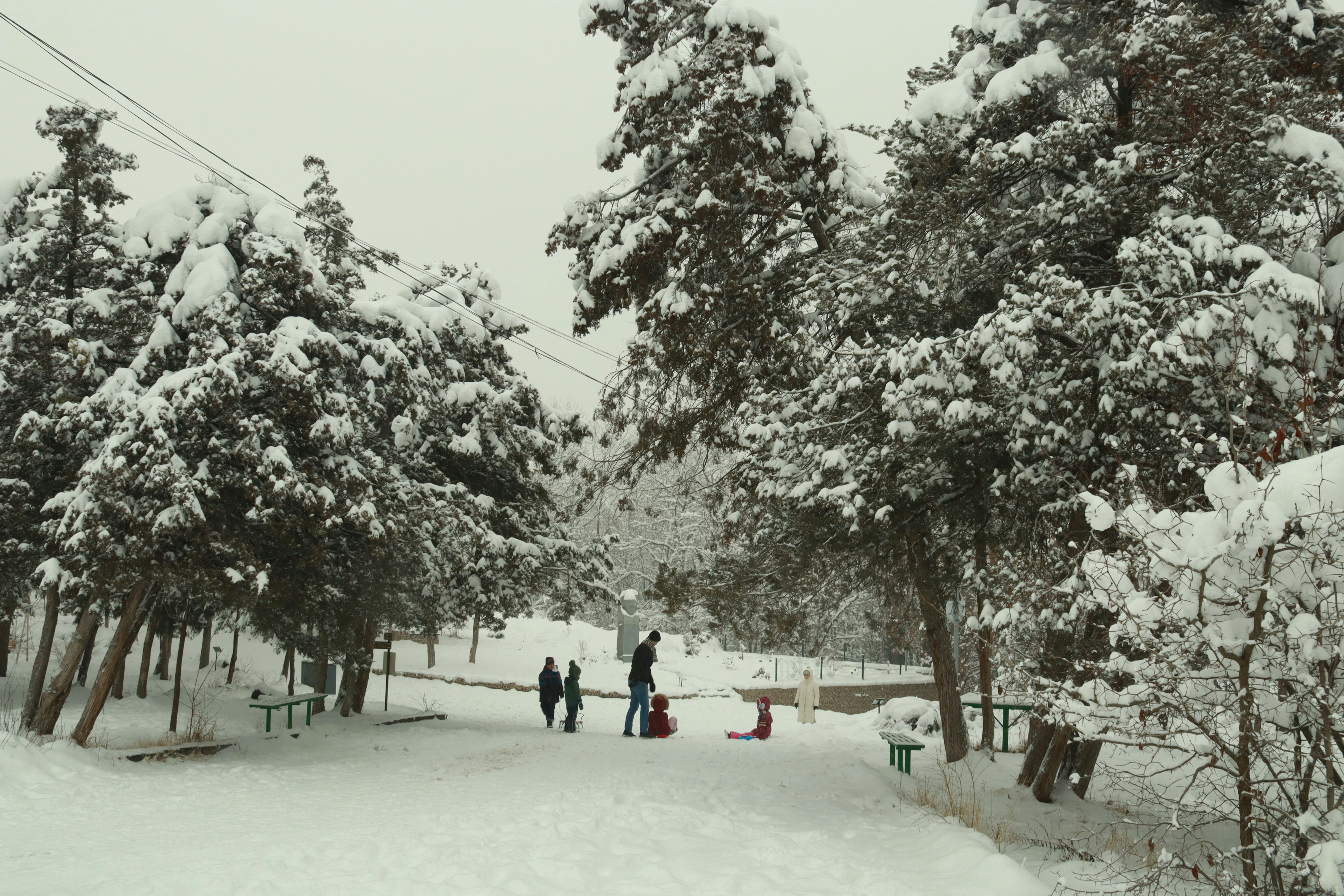a group of people walking down a snow covered road
