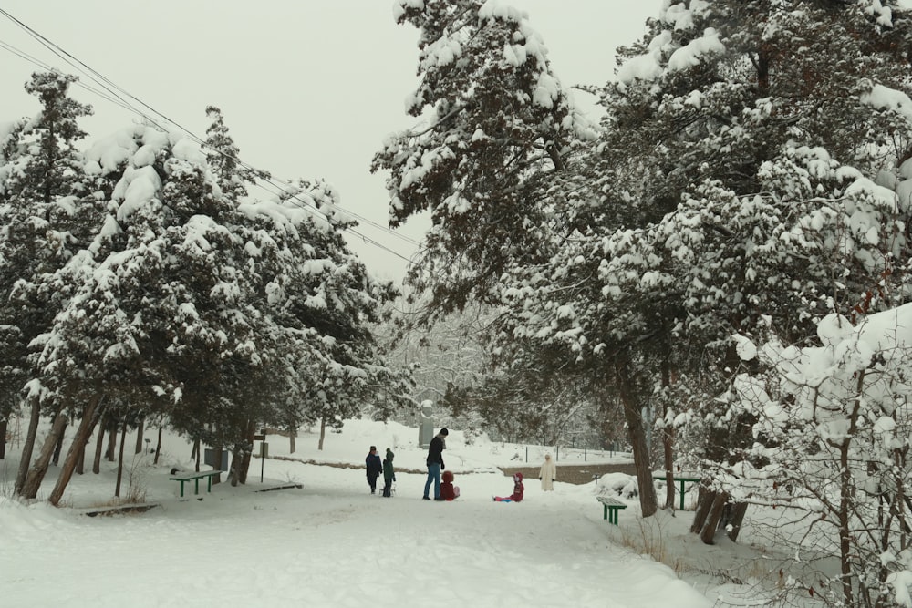 Eine Gruppe von Menschen, die eine schneebedeckte Straße entlanggehen