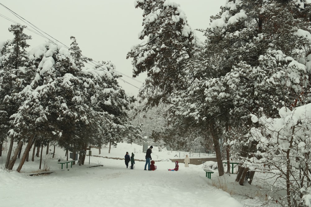 a group of people walking down a snow covered road