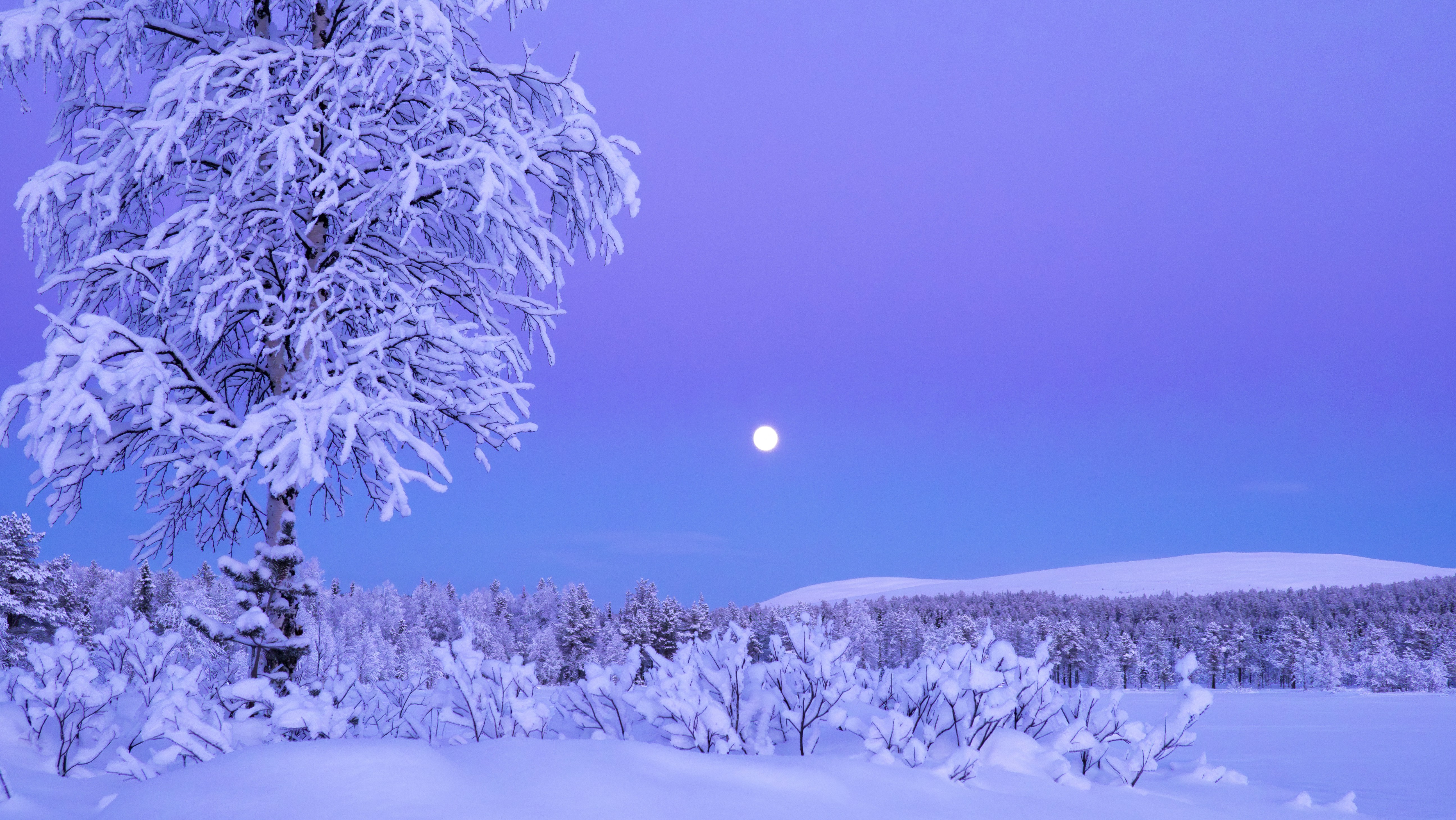 Ein Vollmond geht über einer verschneiten Landschaft auf