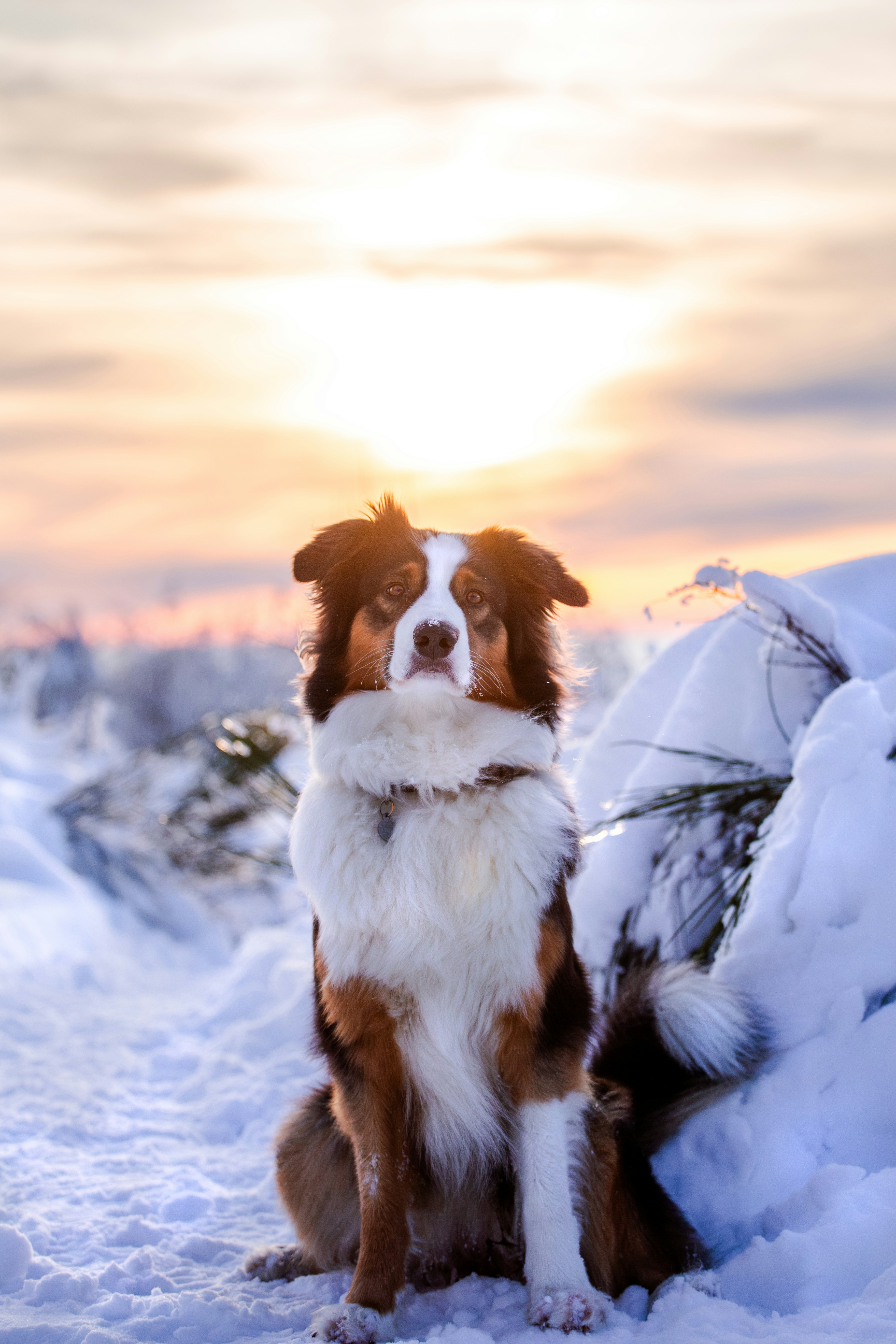 Photo by eliasderksen_photos