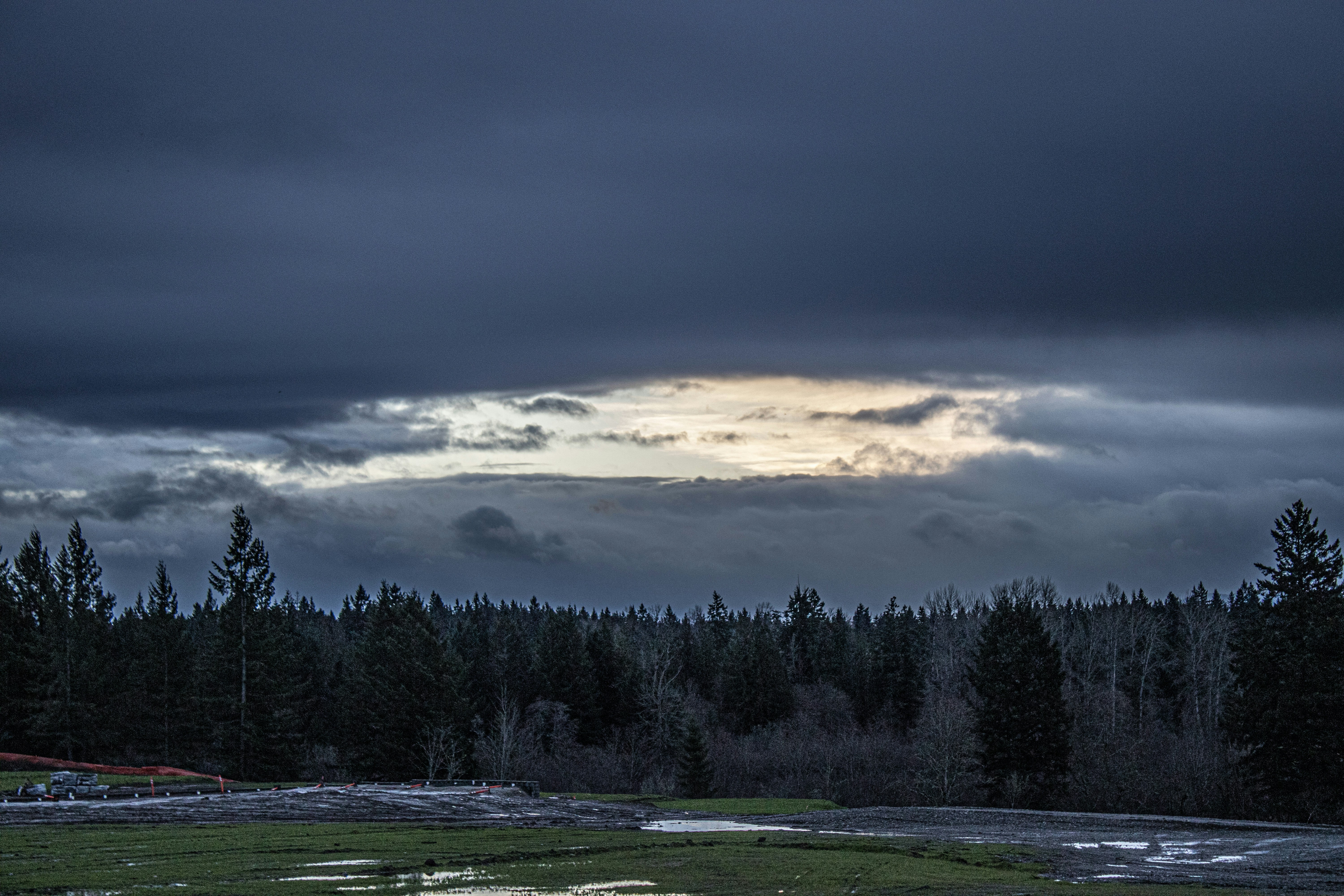 a field with a forest in the background under a cloudy sky
