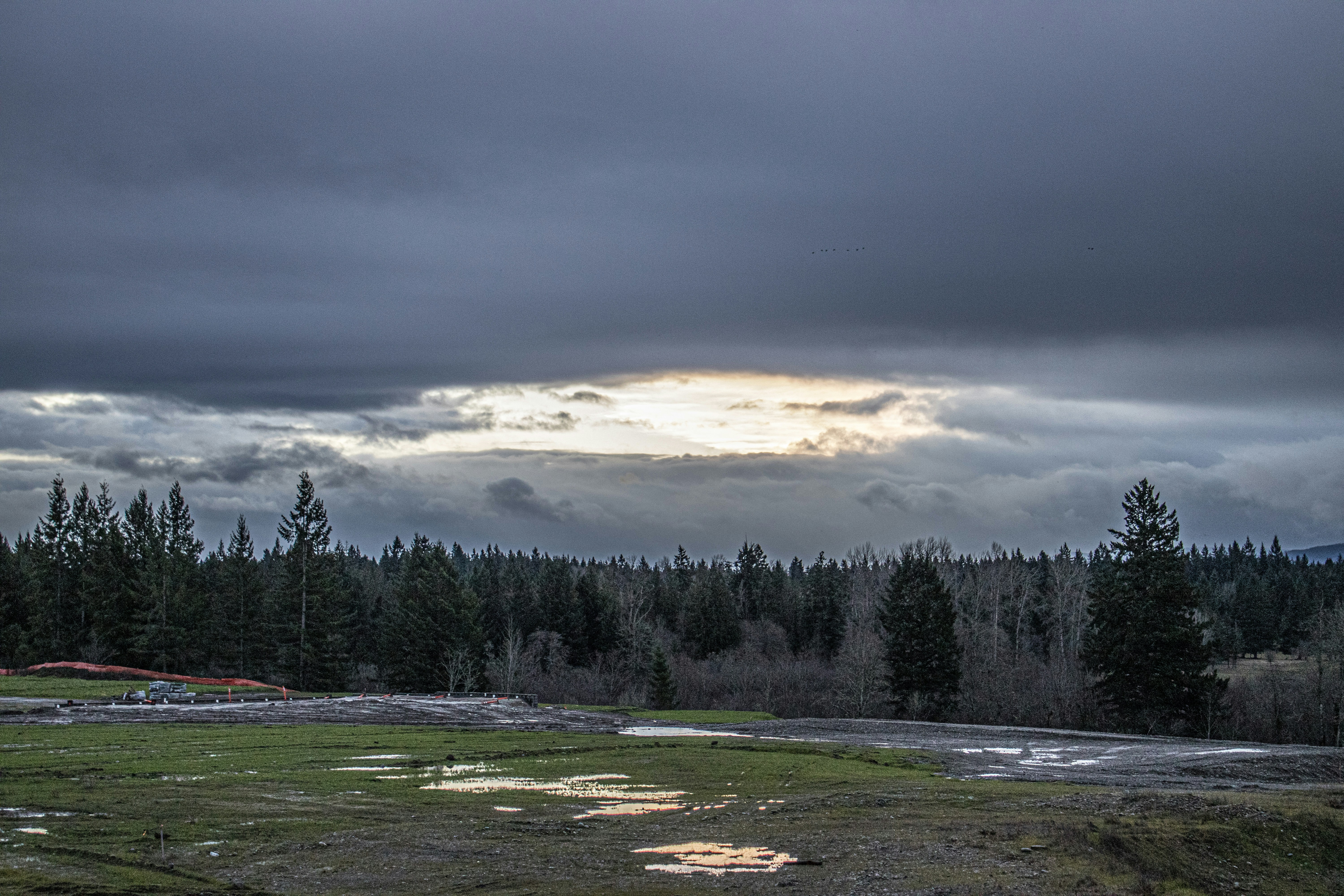 Photo by prphotography262