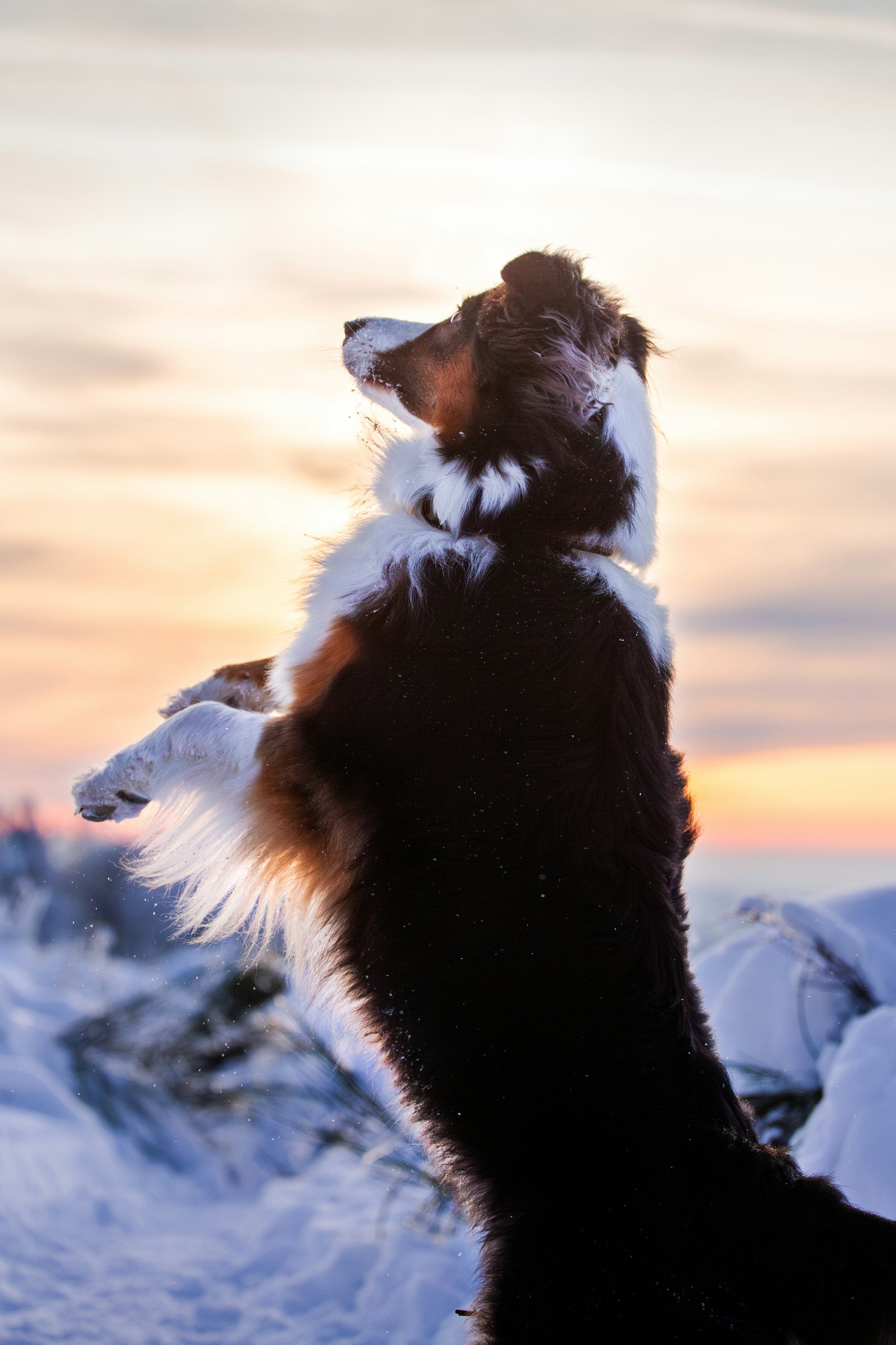 Photo by eliasderksen_photos