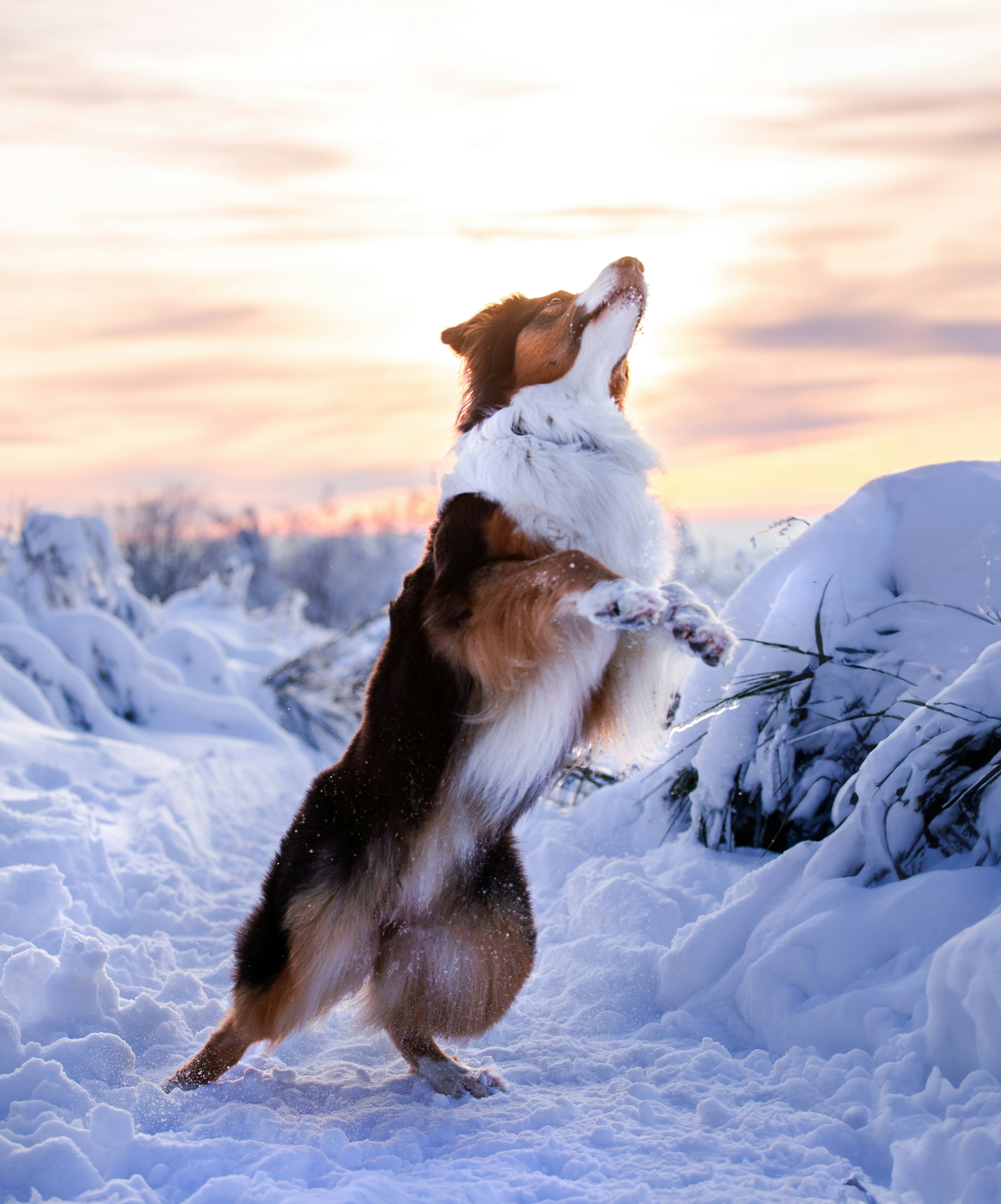 Photo by eliasderksen_photos