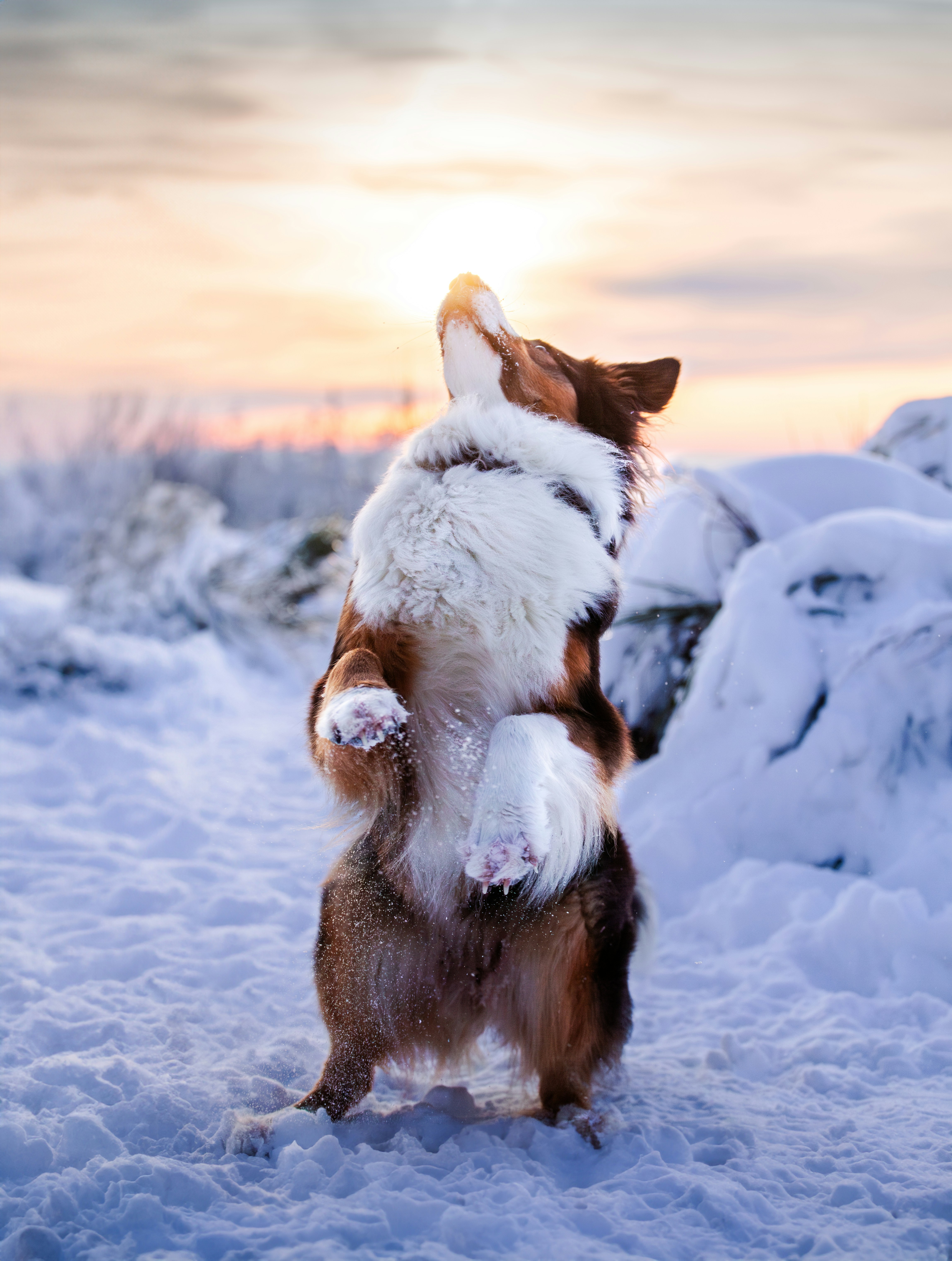 Photo by eliasderksen_photos