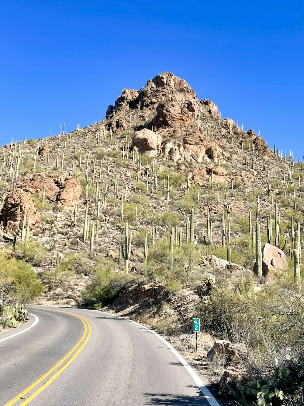 a road with a mountain in the background