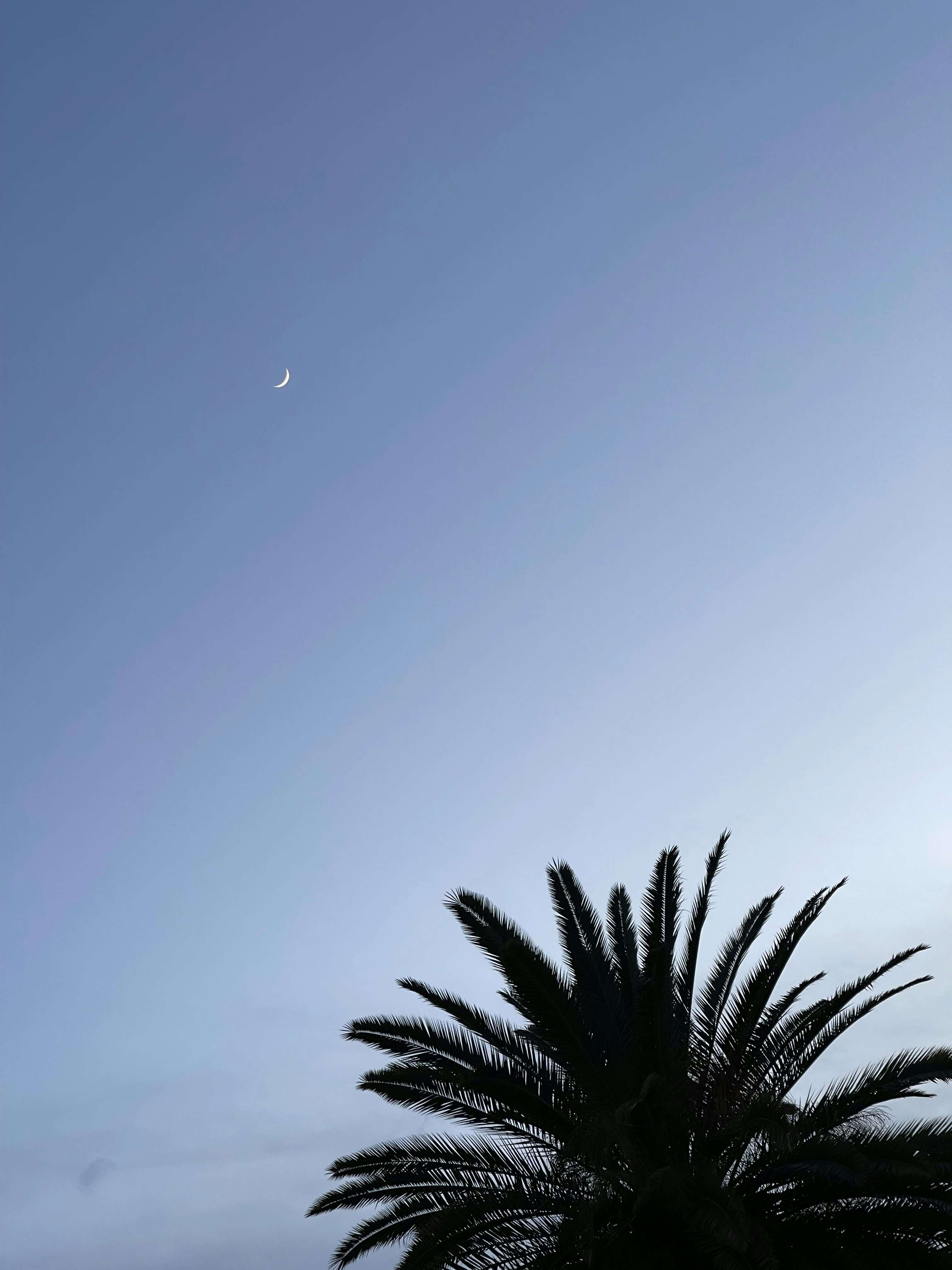 Photo by justsiempie