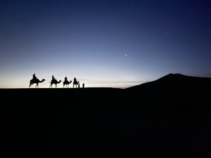 a group of people riding camels across a desert