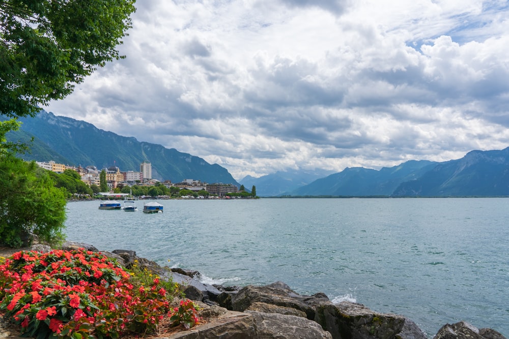 a view of a lake with boats and mountains in the background