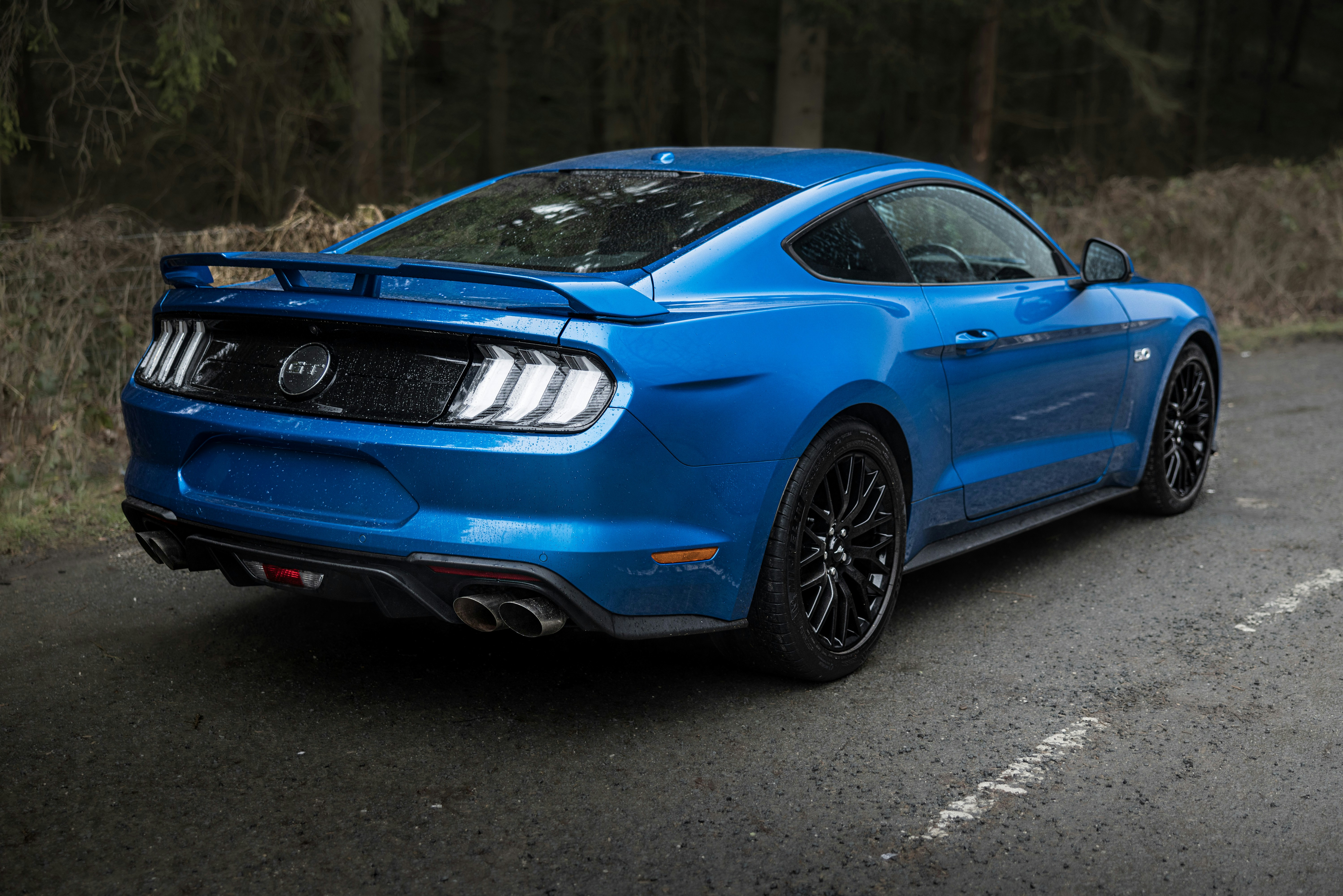 Photo by lukethorntonofficial