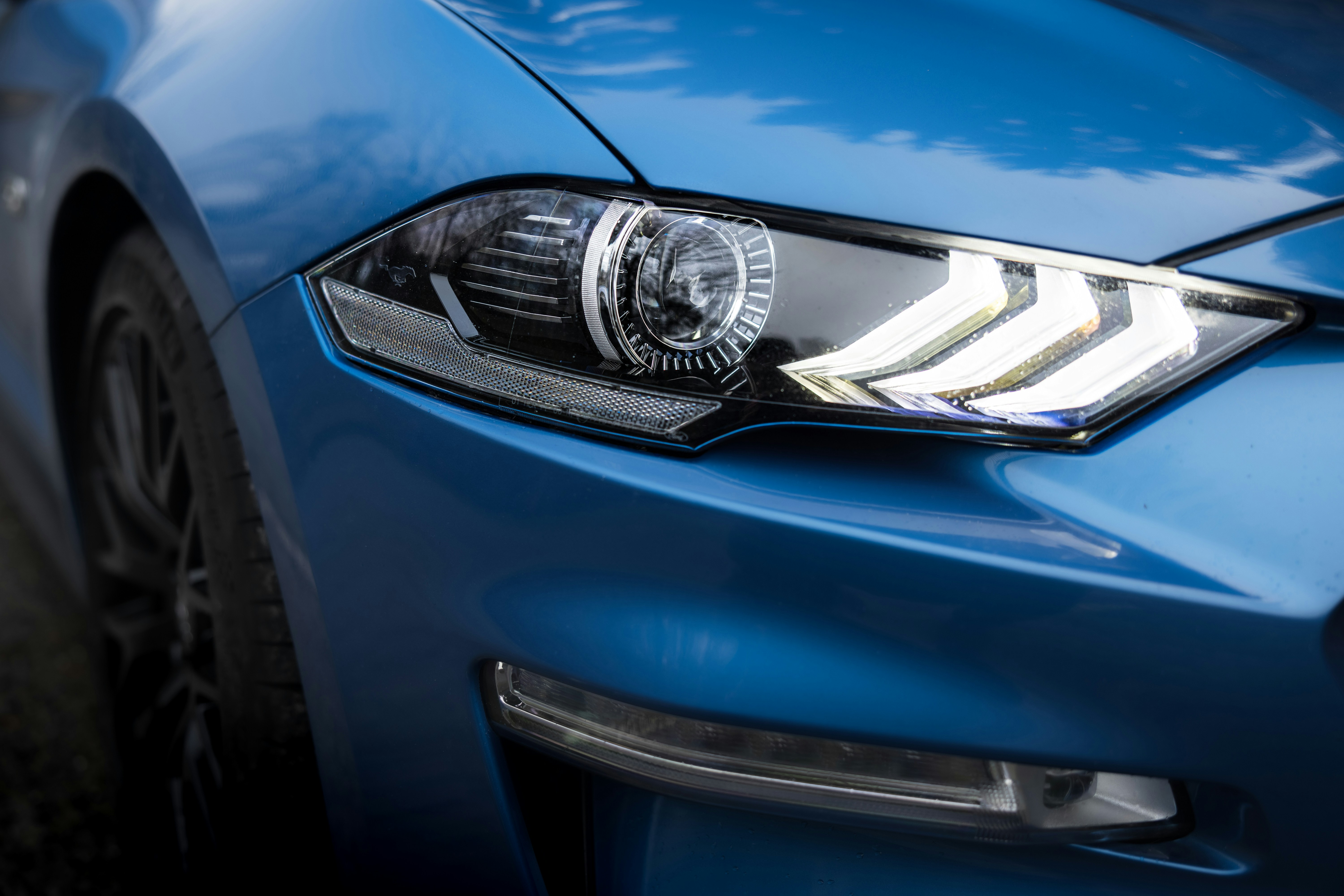 Photo by lukethorntonofficial