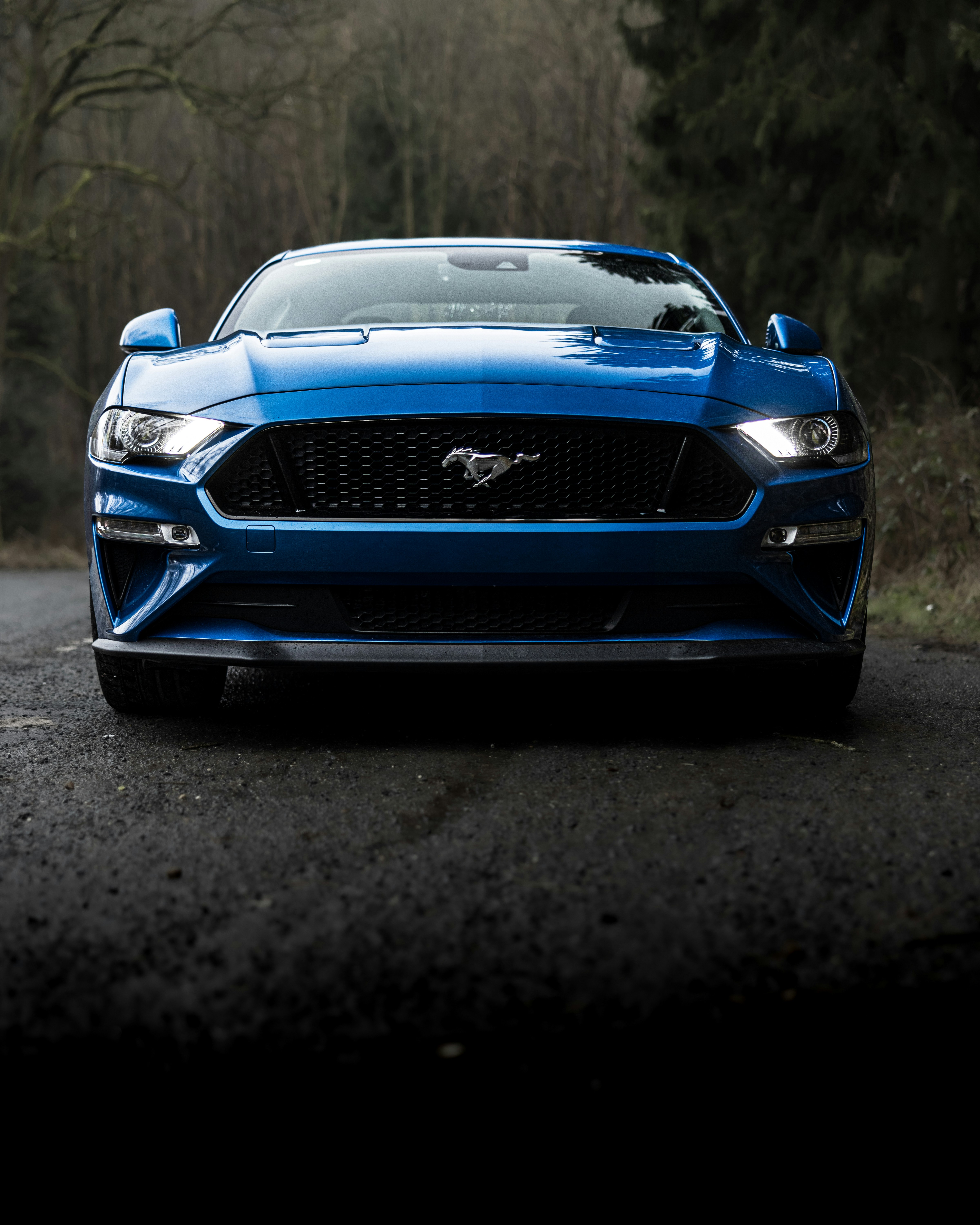 Photo by lukethorntonofficial