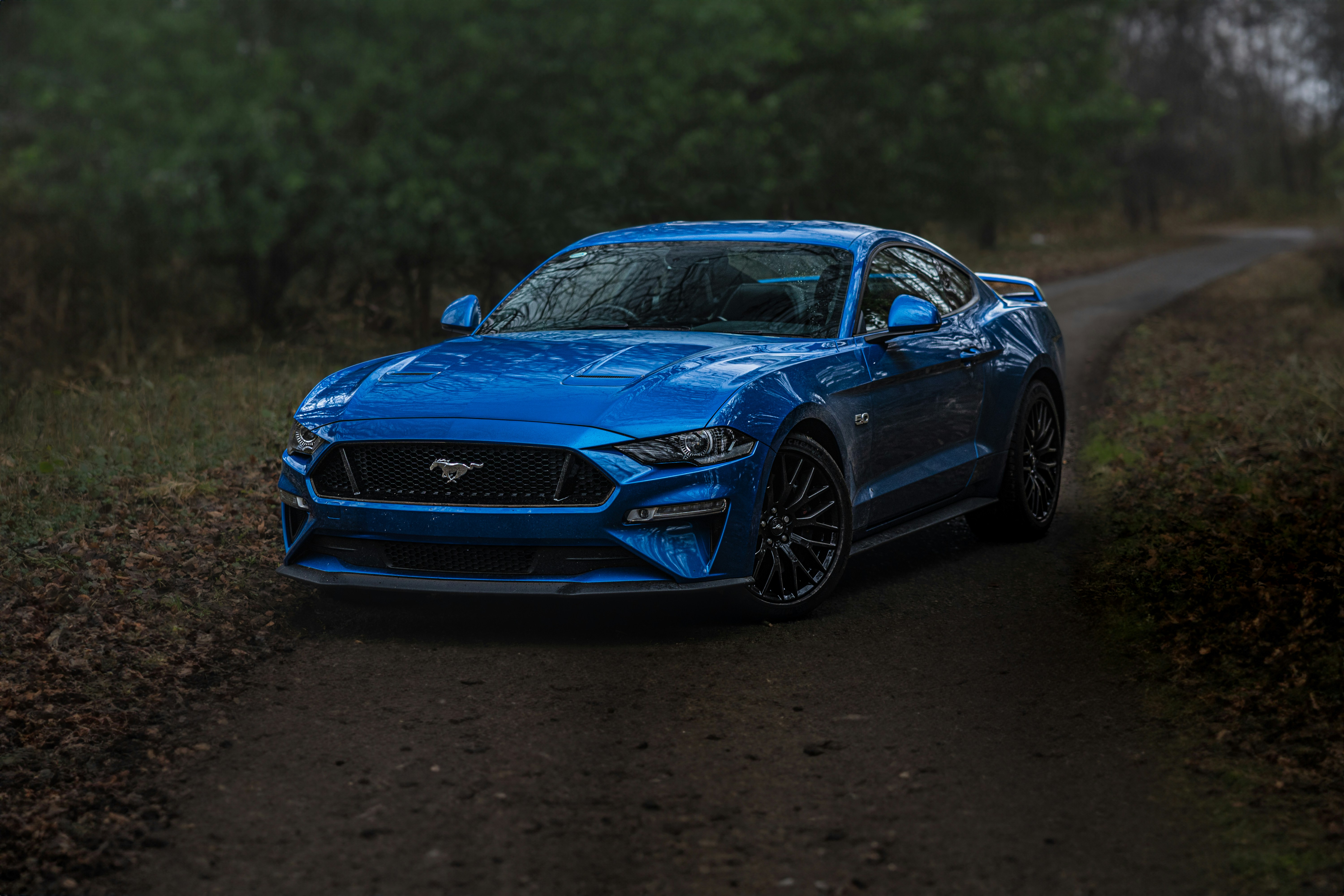 Photo by lukethorntonofficial