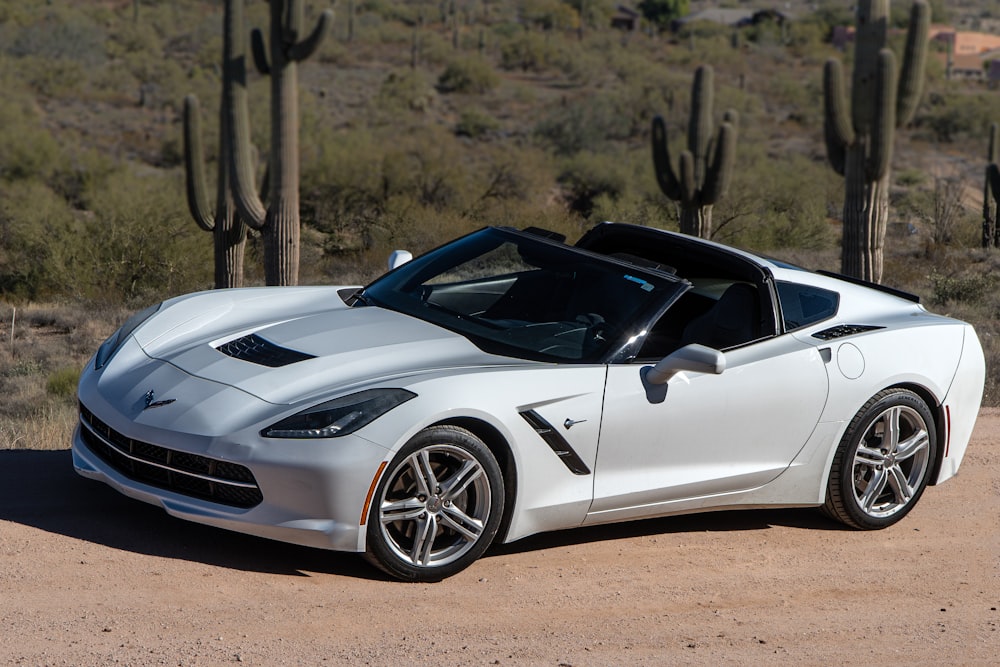 a white sports car parked in front of a cactus
