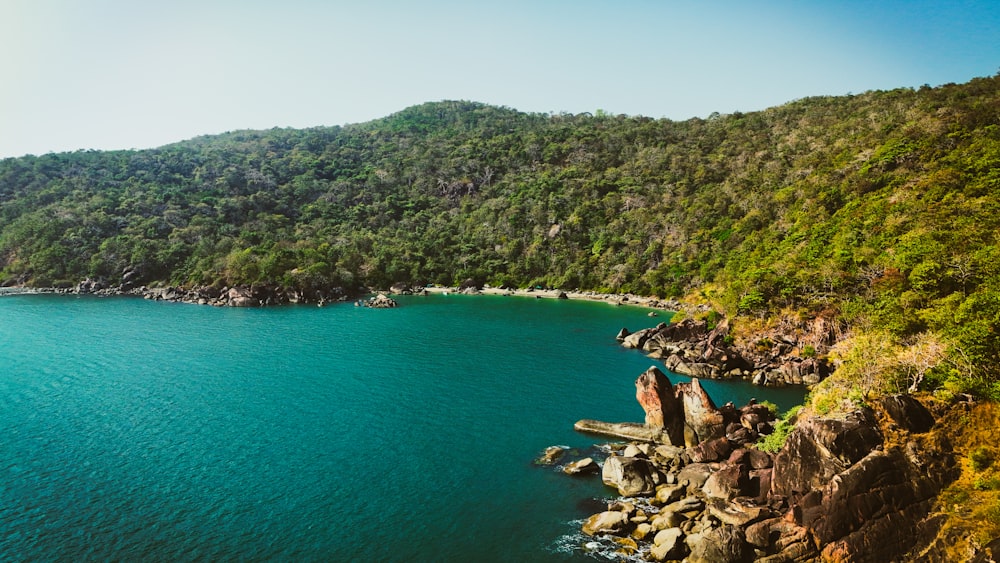 a large body of water surrounded by a lush green hillside