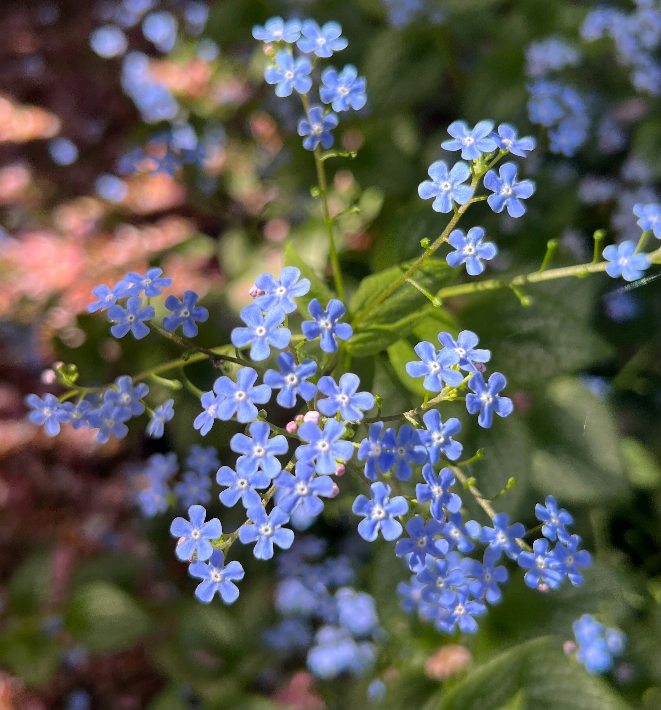 Photo by rowanofthevalley