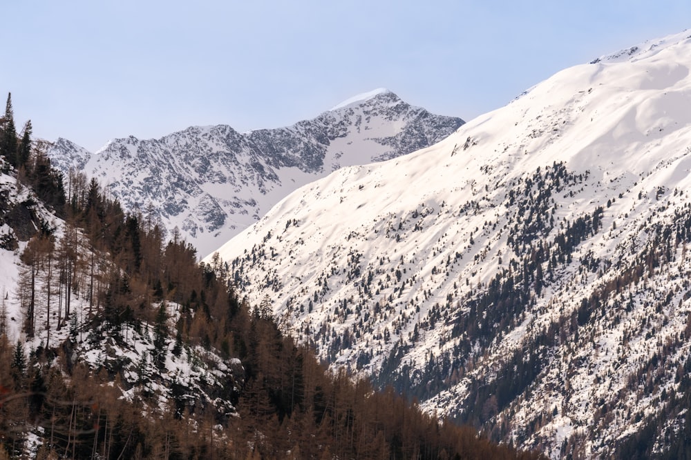 a snow covered mountain range with trees in the foreground