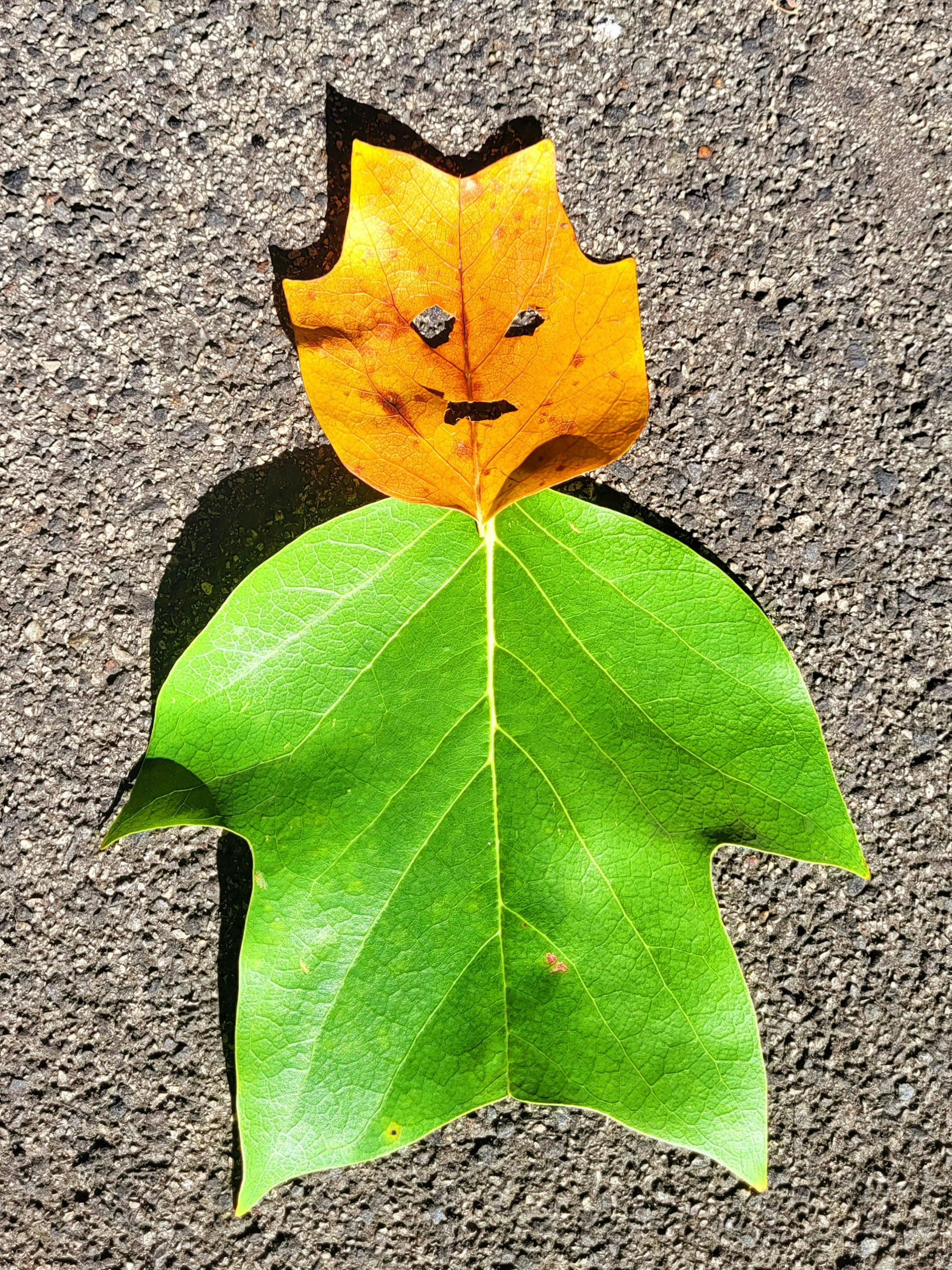 ein Blatt mit einem darauf gezeichneten Gesicht, das auf dem Boden liegt