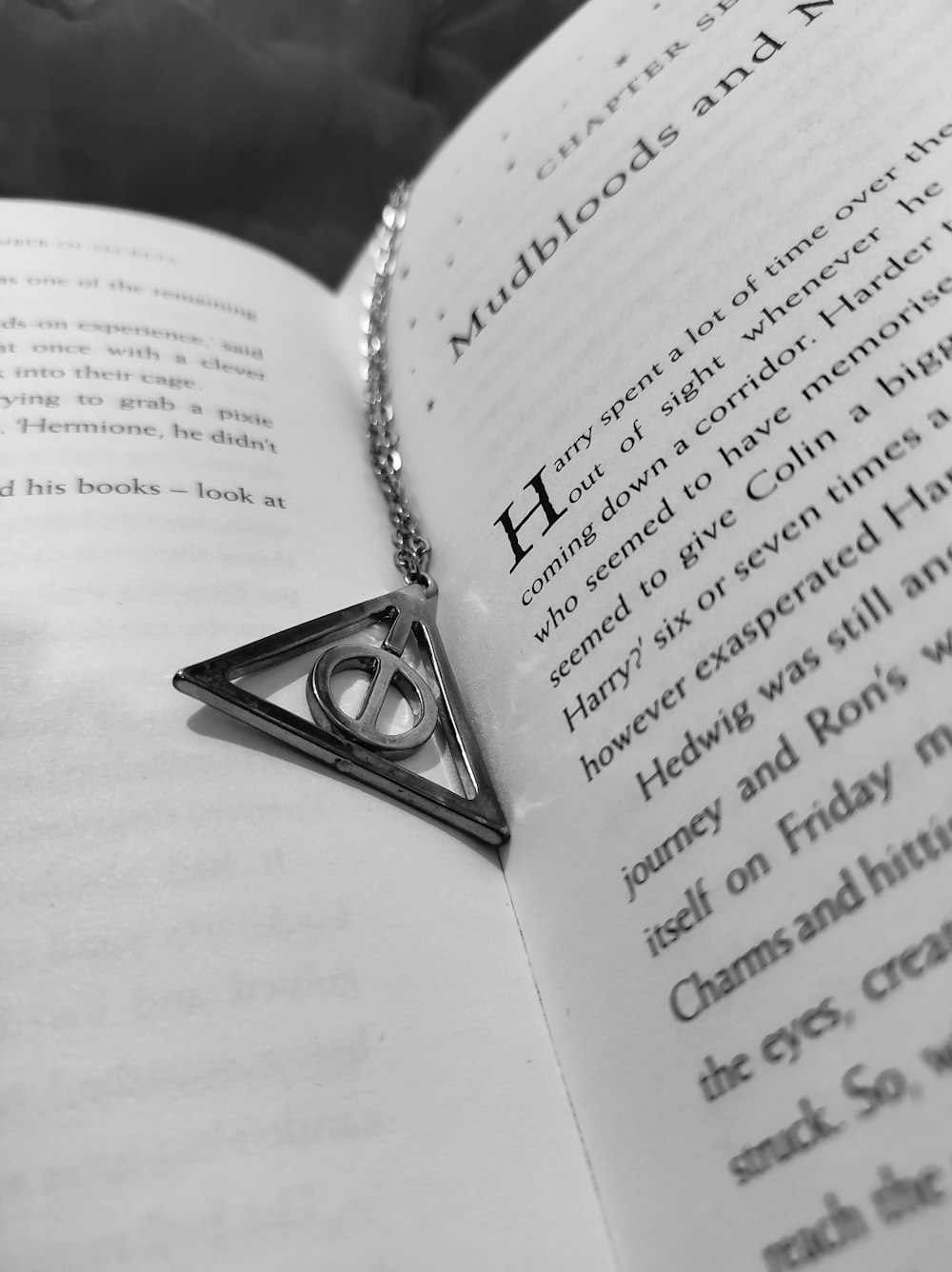 a book with a harry potter necklace on it