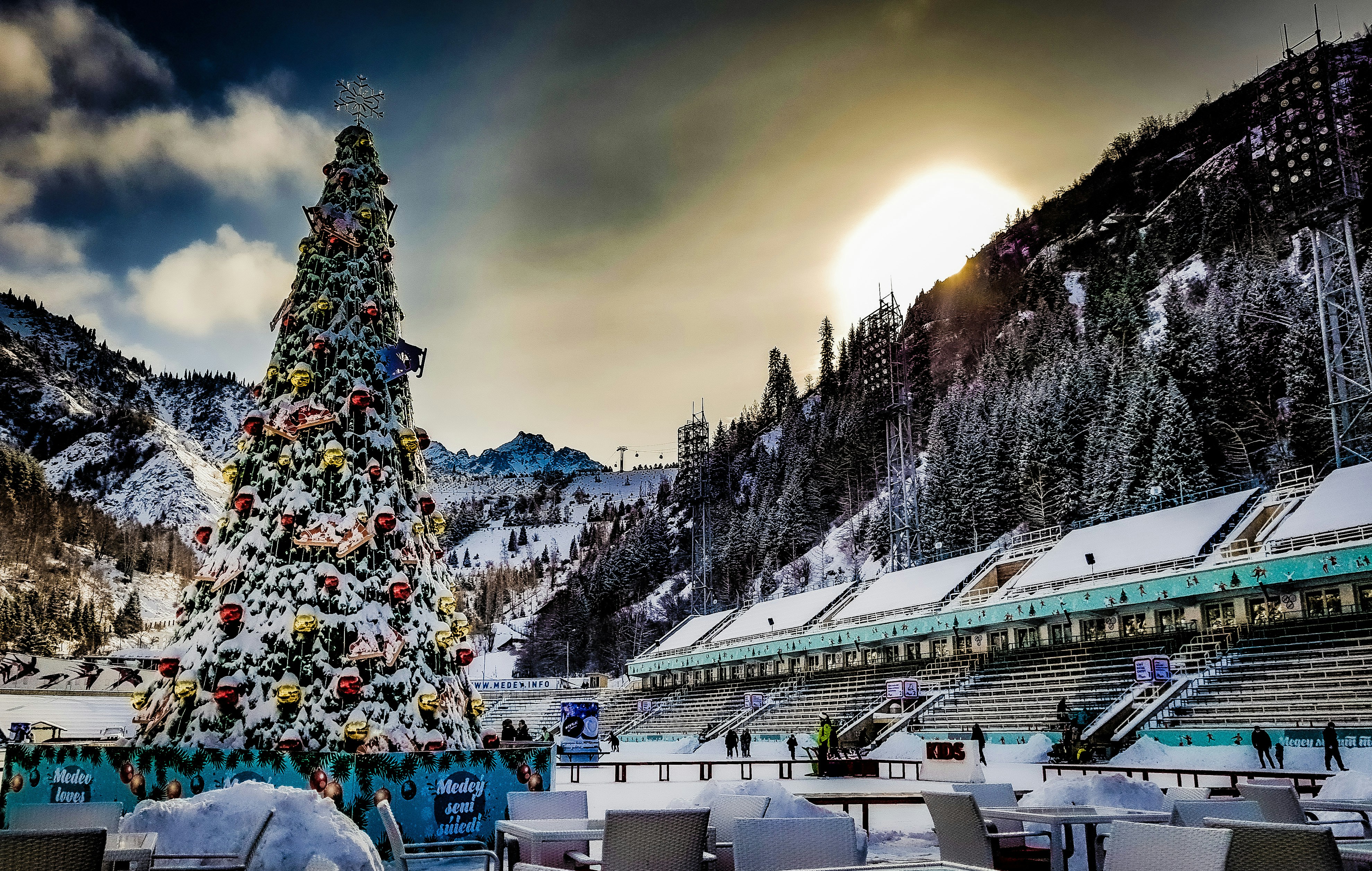 большая рождественская ёлка посреди заснеженного поля