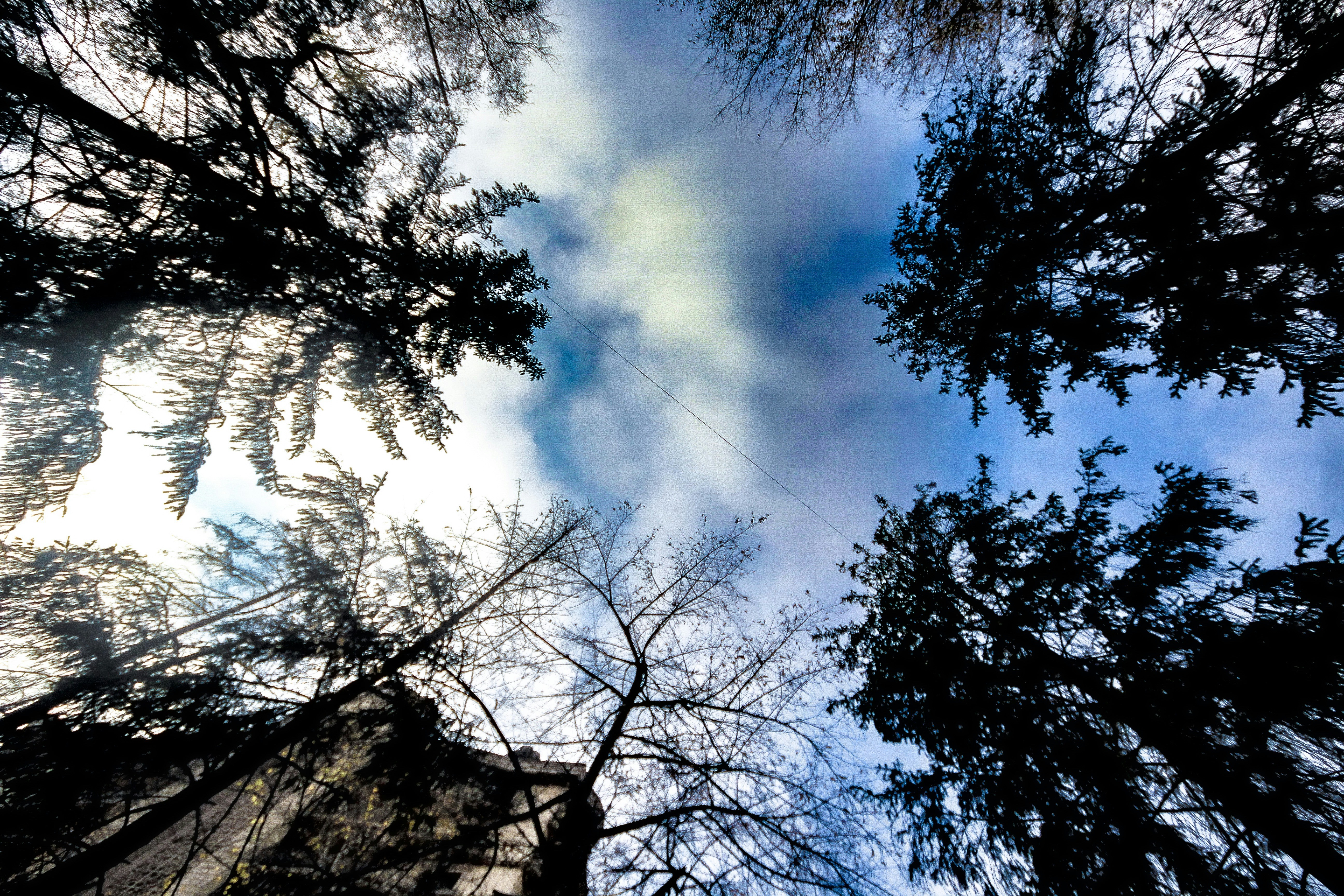 Photo by starkie_pics