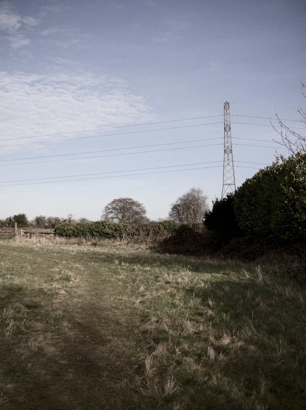 an empty field with a telephone pole in the distance