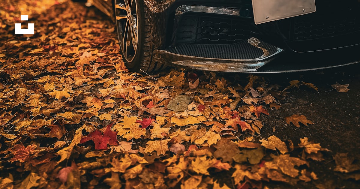 A black car parked on a leaf covered road photo – Free Fall season ...