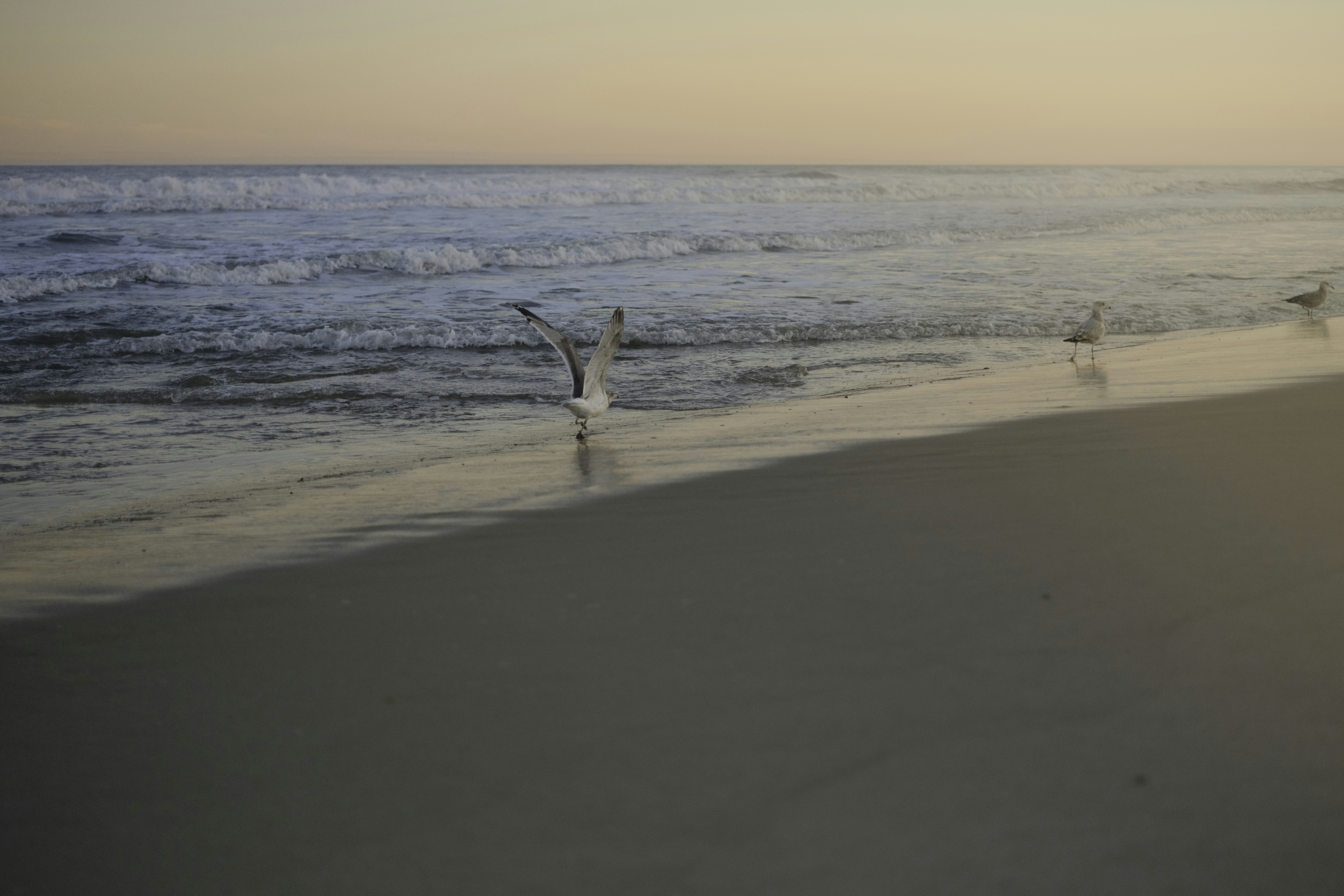 Photo by kridsphotography