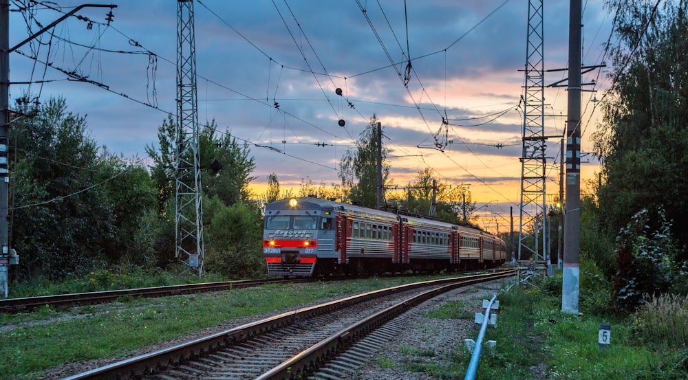 a train traveling down train tracks next to a forest