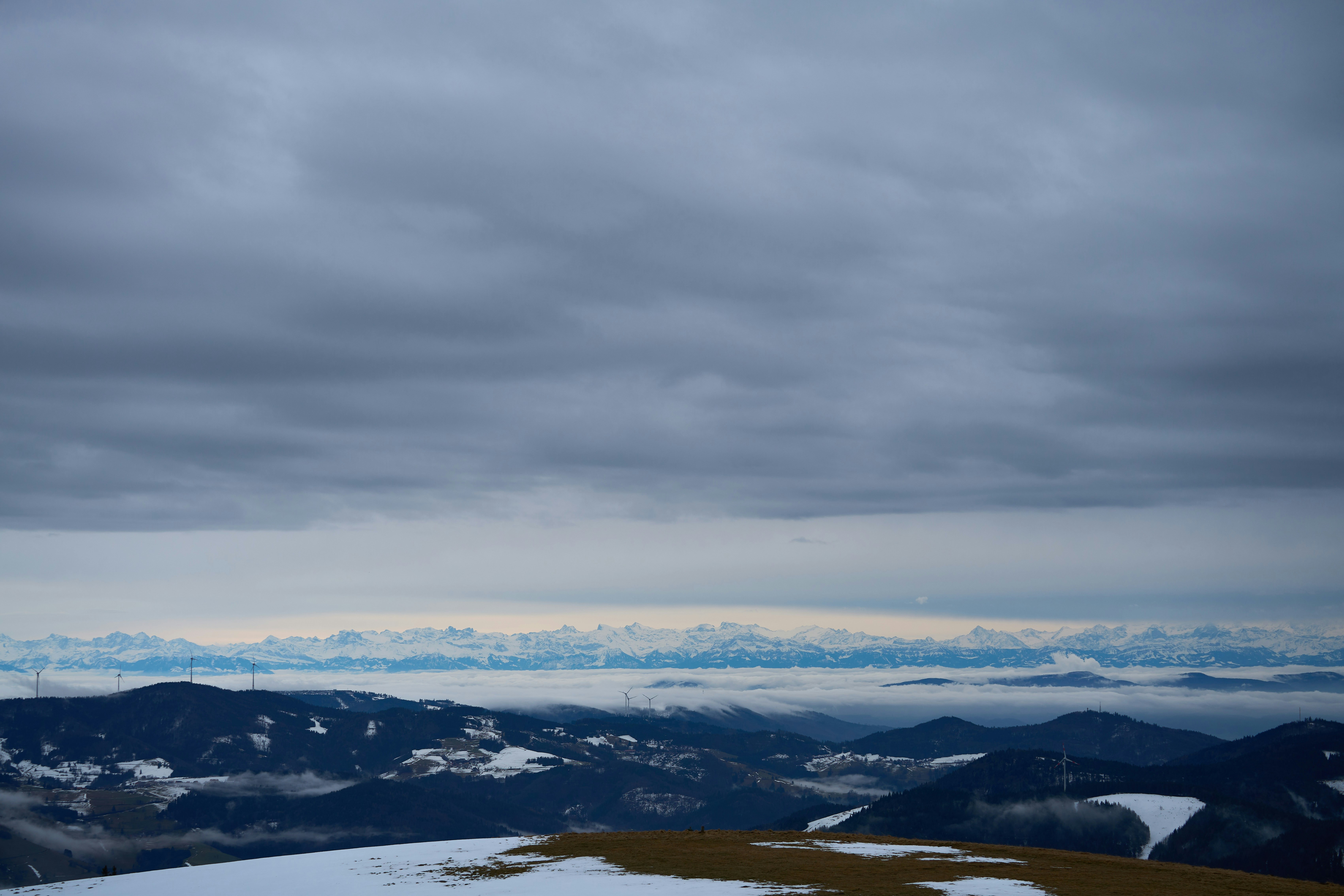 Photo by wolfgang_hasselmann