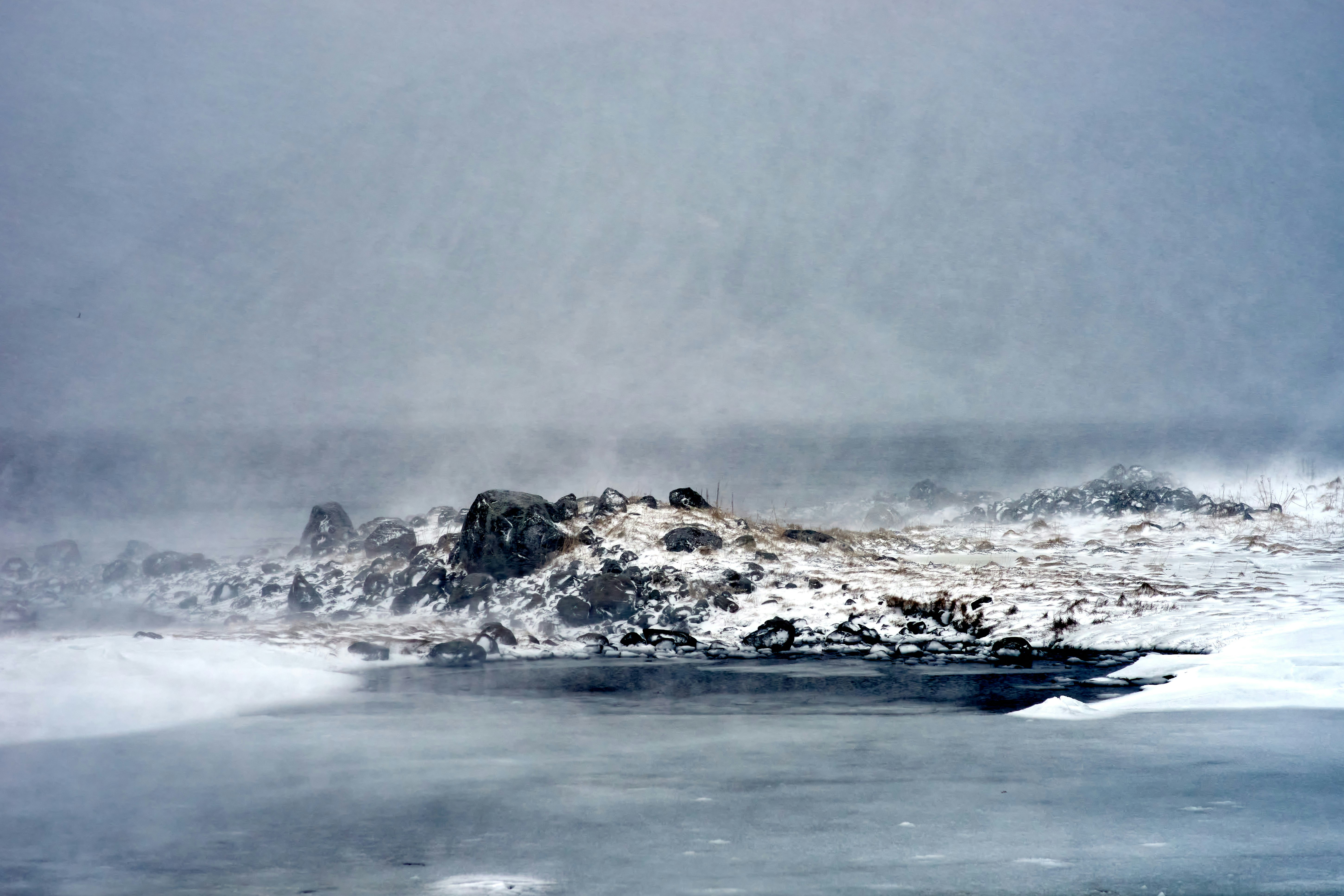 Photo by wolfgang_hasselmann