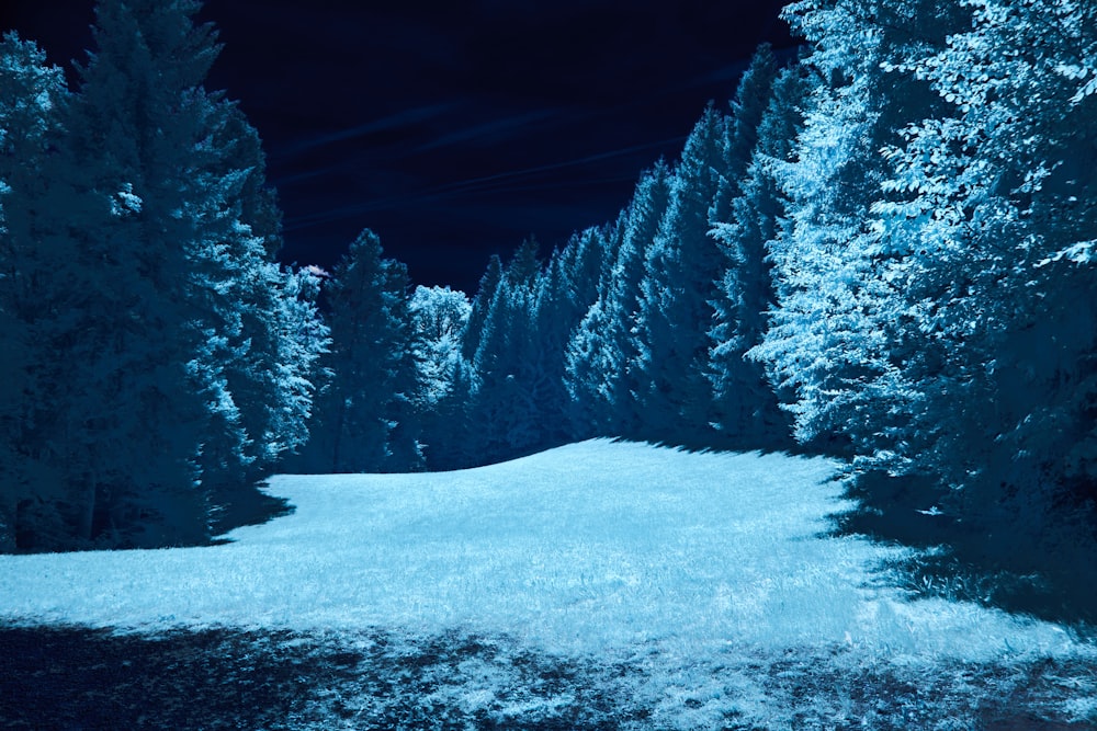 a snow covered field surrounded by trees under a night sky