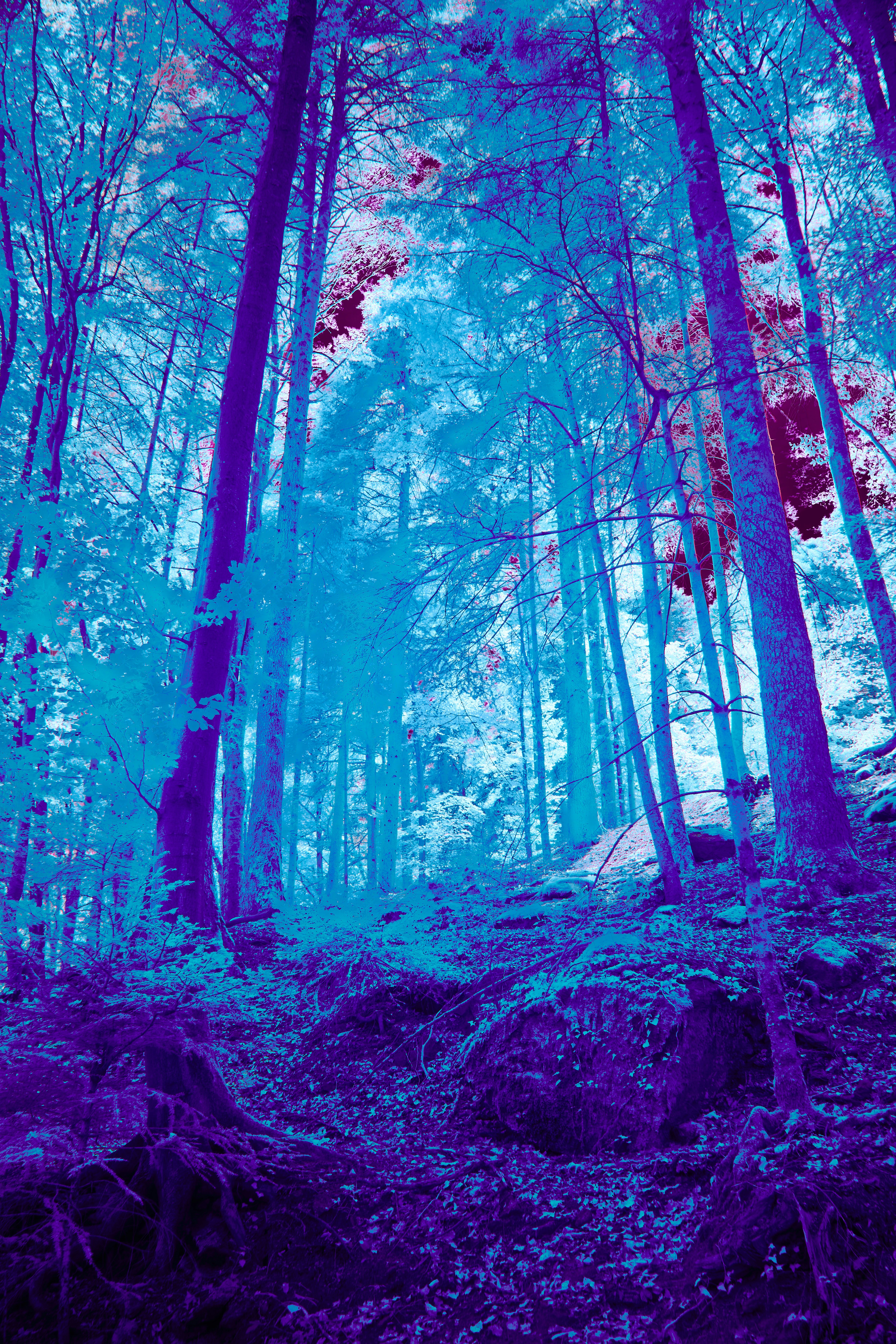 Photo by wolfgang_hasselmann