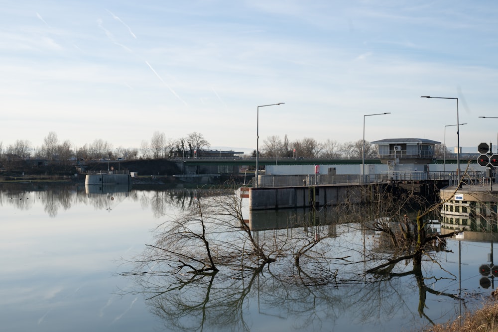 a body of water with a bridge in the background