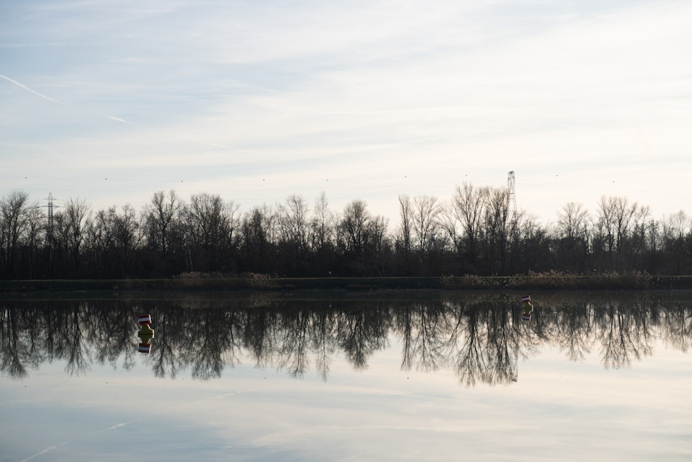 a body of water with trees in the background