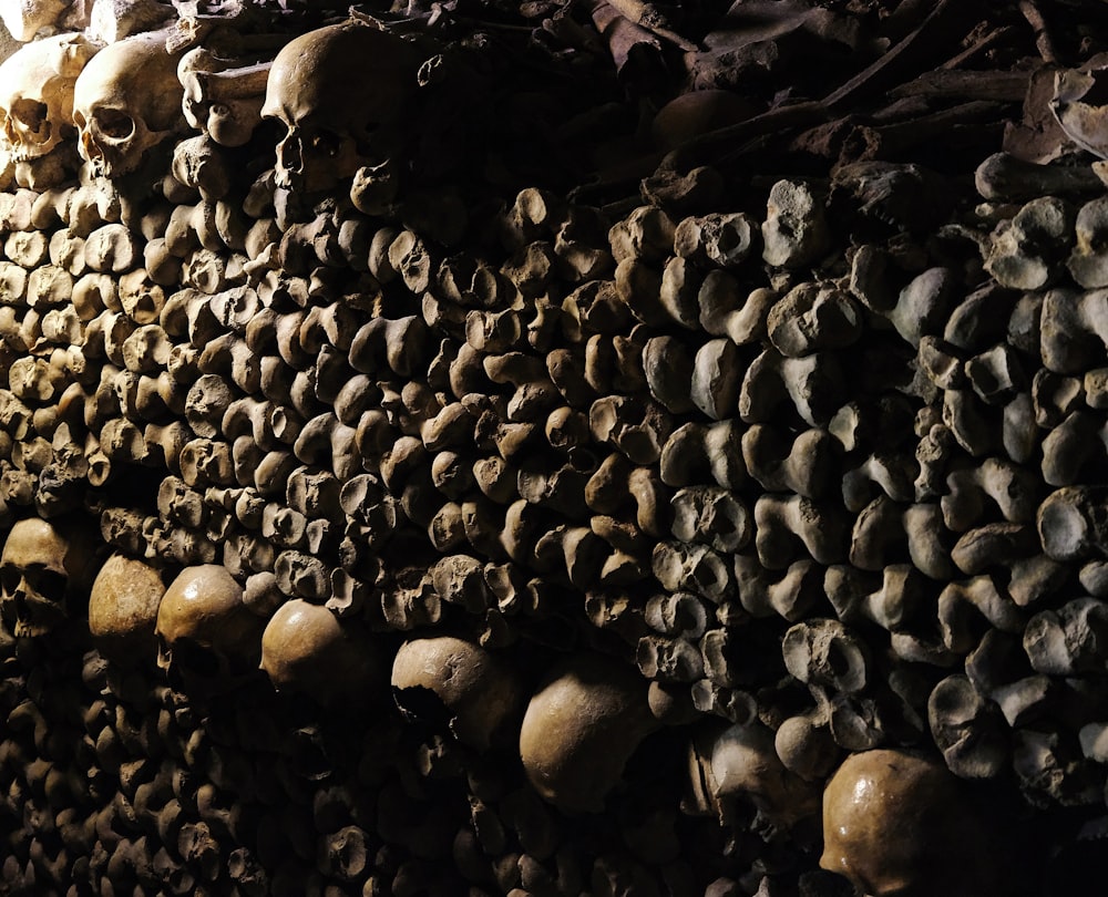 a bunch of skulls are stacked on a wall