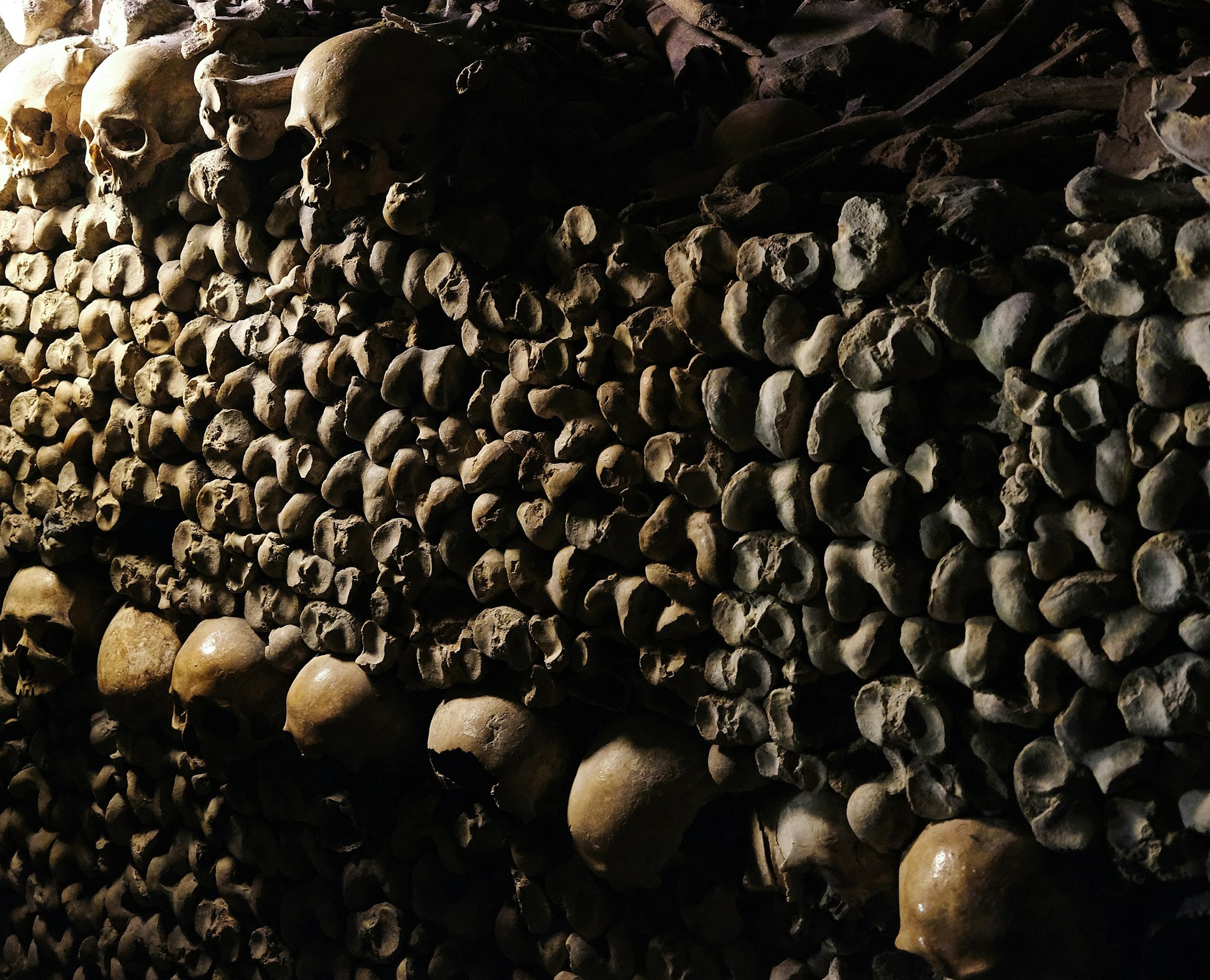Catacumbas: "historias del inframundo en París".