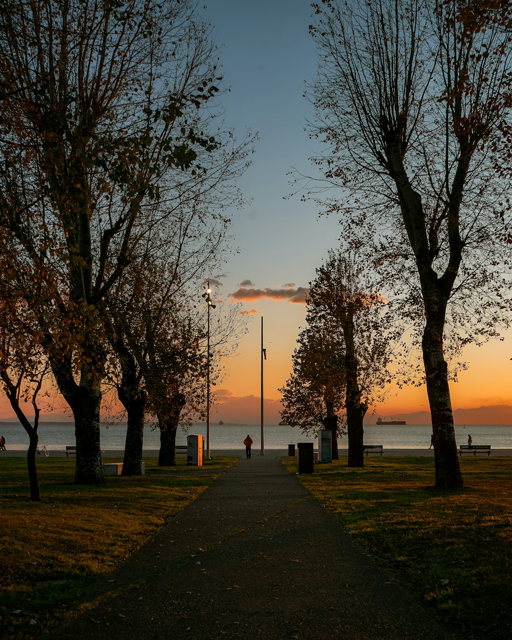 a pathway leading to the beach at sunset