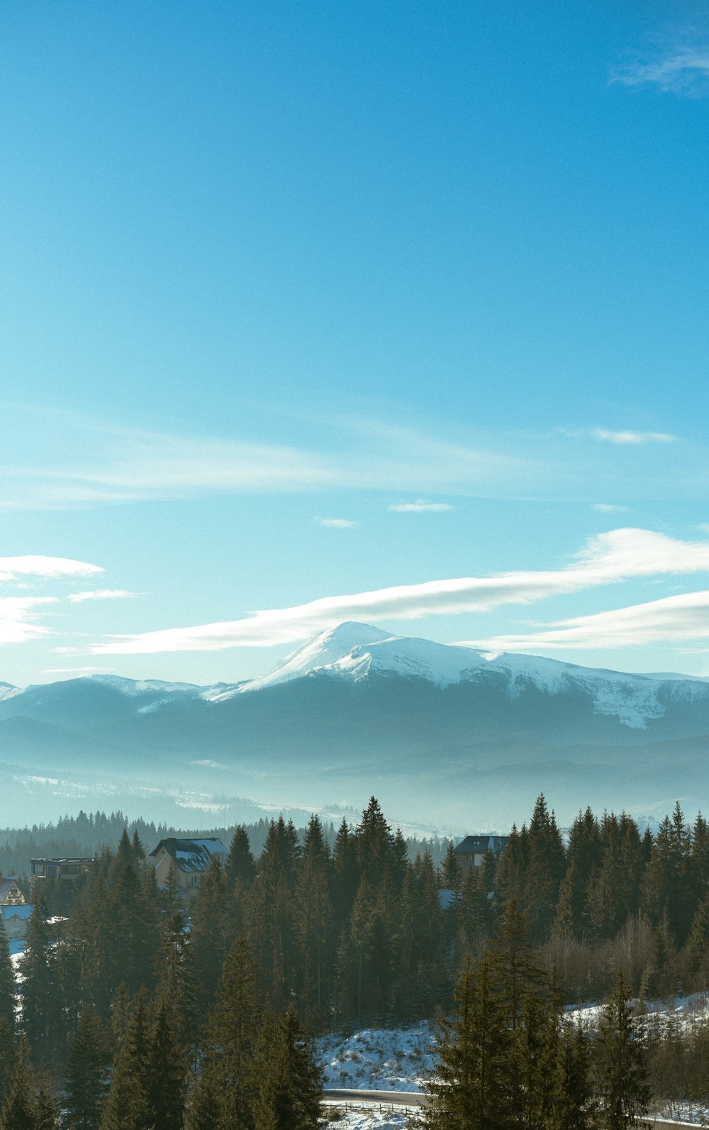 a view of a mountain range with trees in the foreground