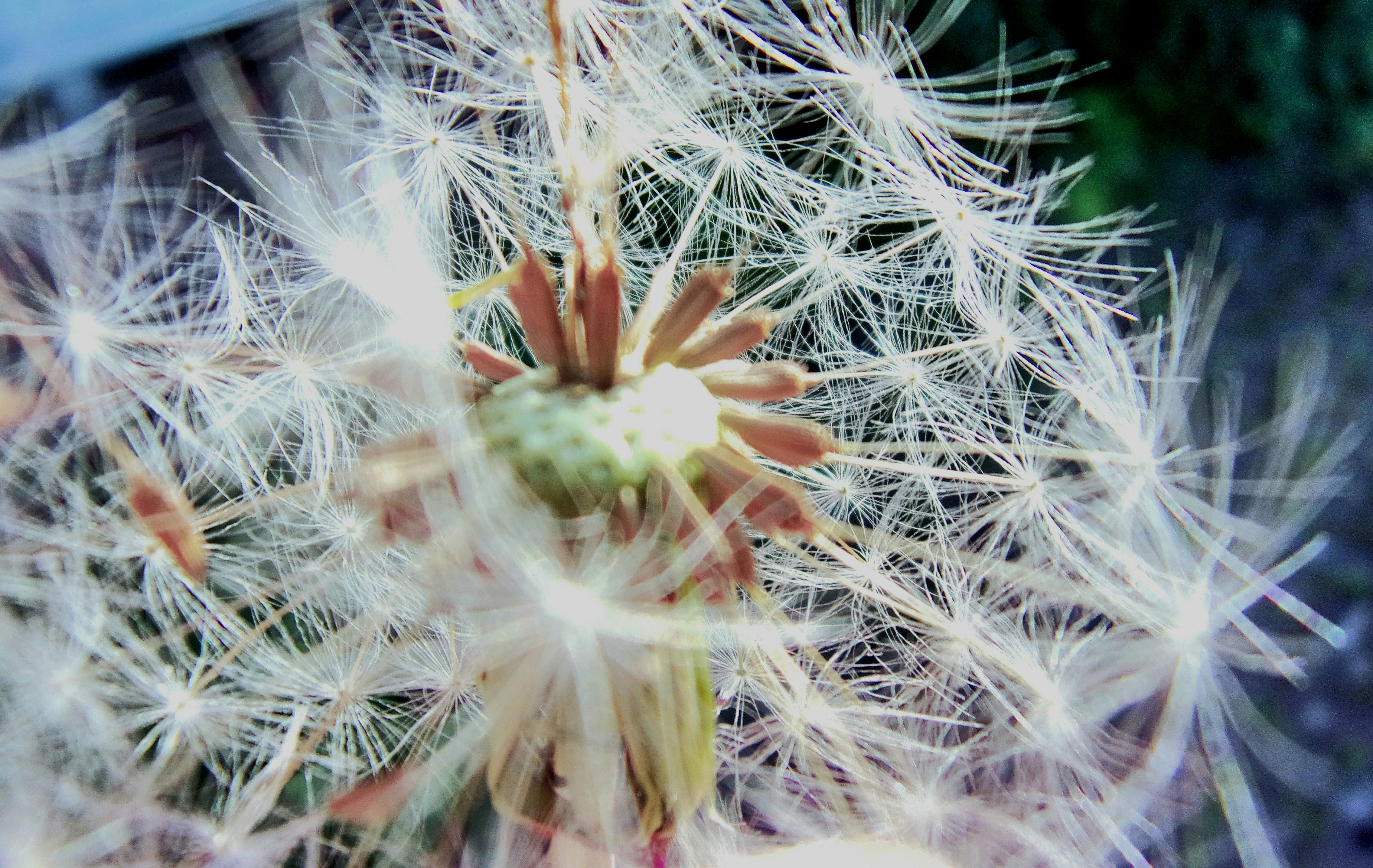 Photo by novo_aspectu