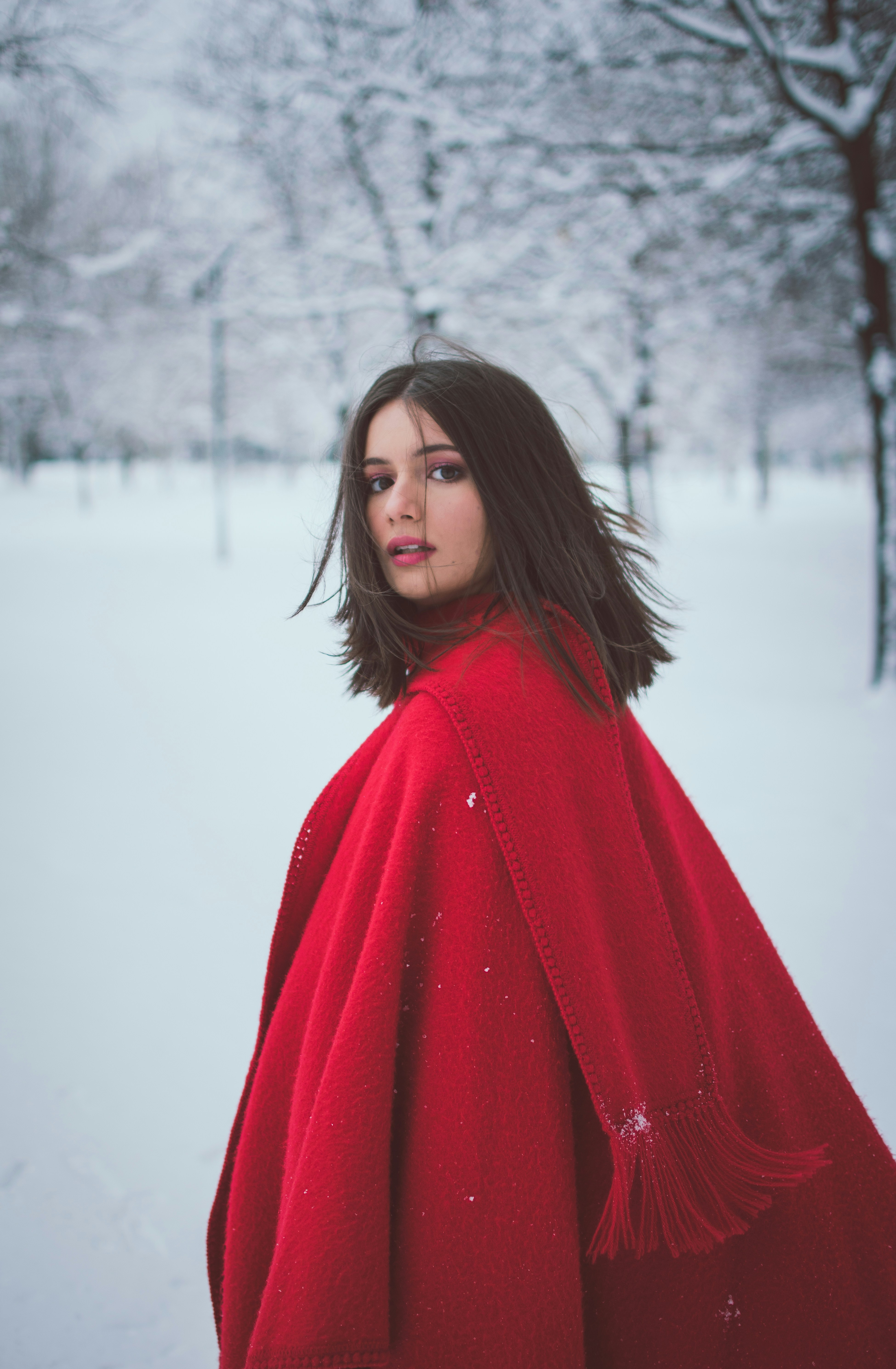 Photo by virginiaberbece